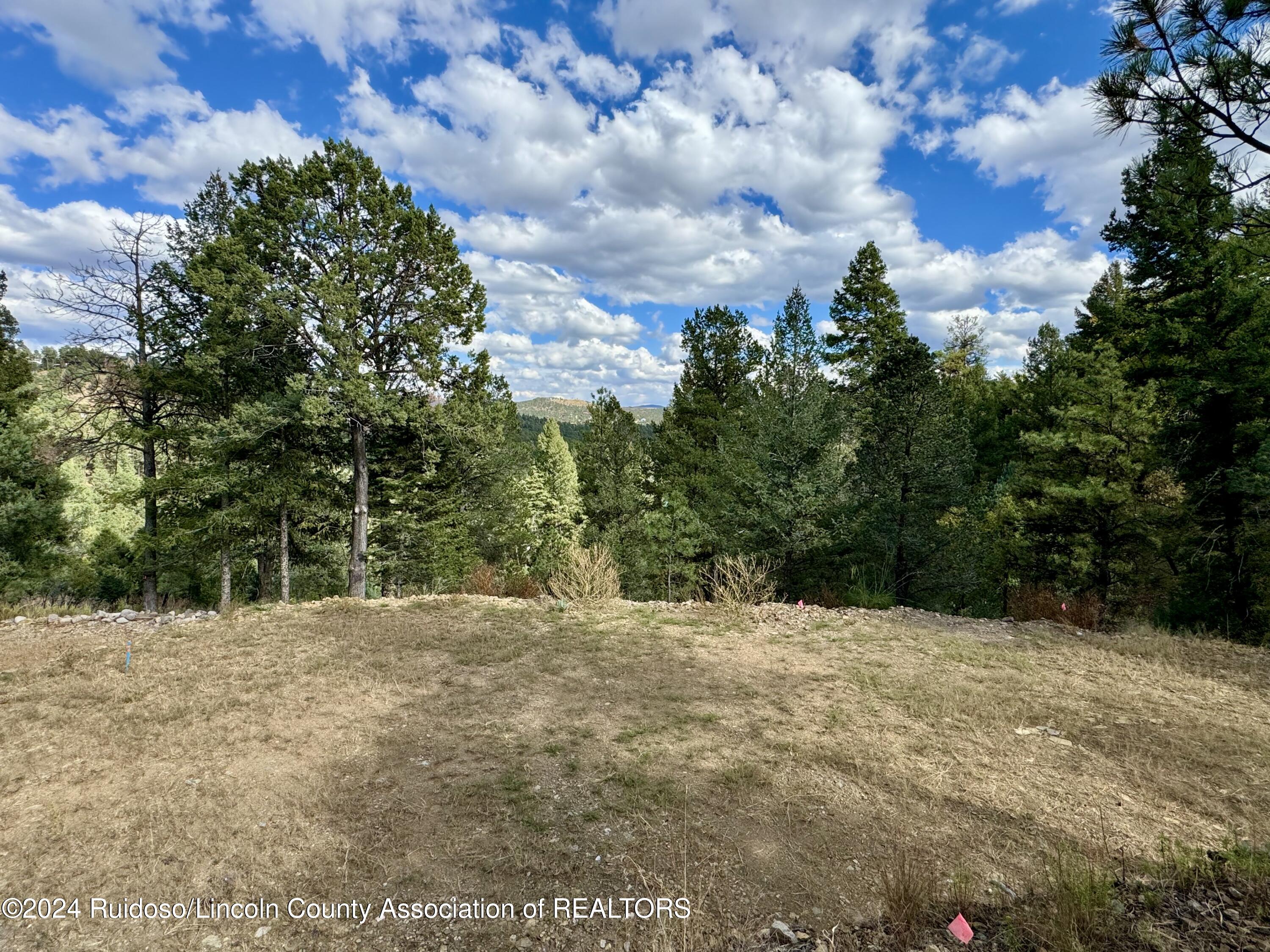 106 & 110 Nopal Lane, Ruidoso, New Mexico image 14