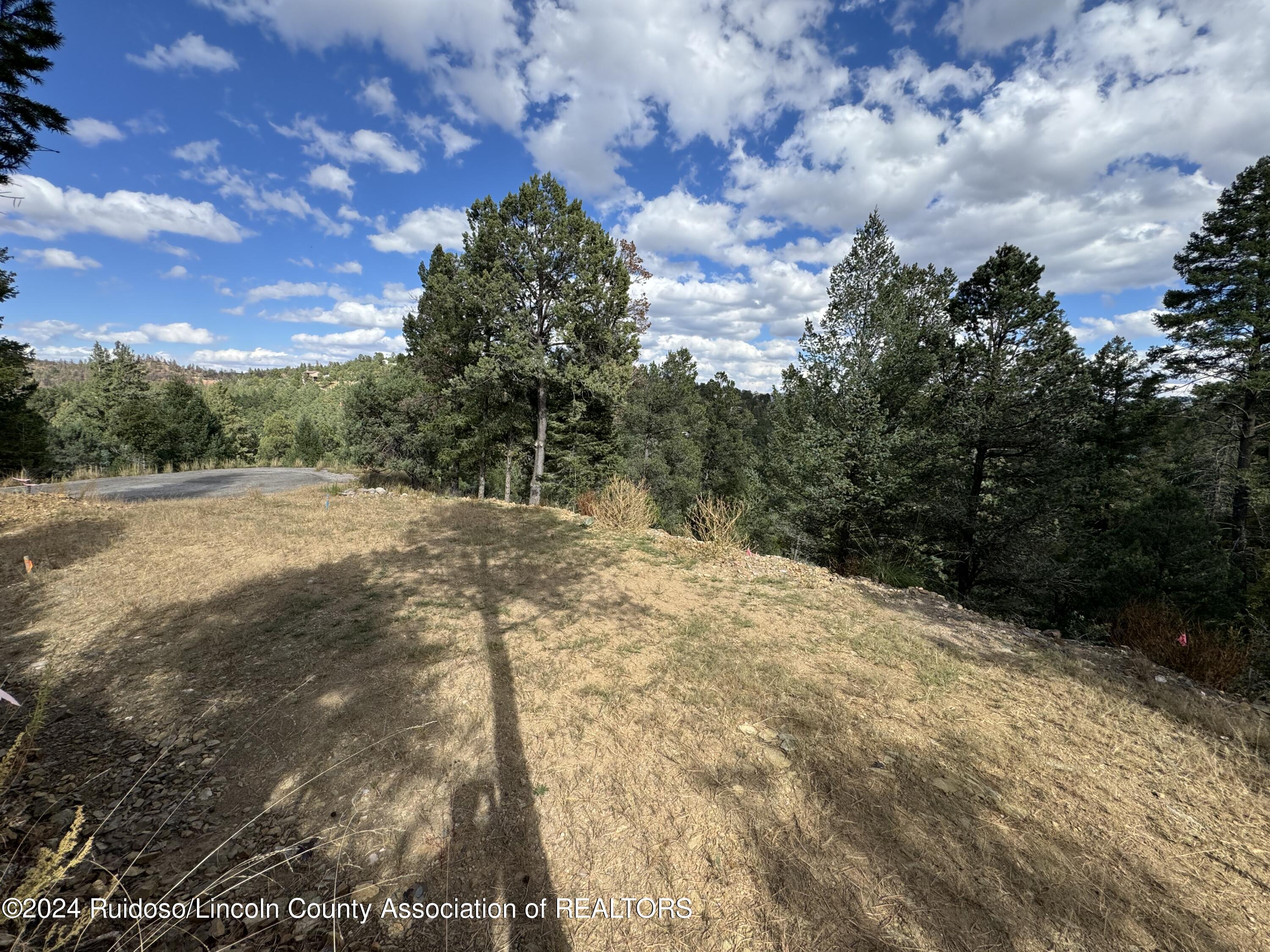 106 & 110 Nopal Lane, Ruidoso, New Mexico image 8