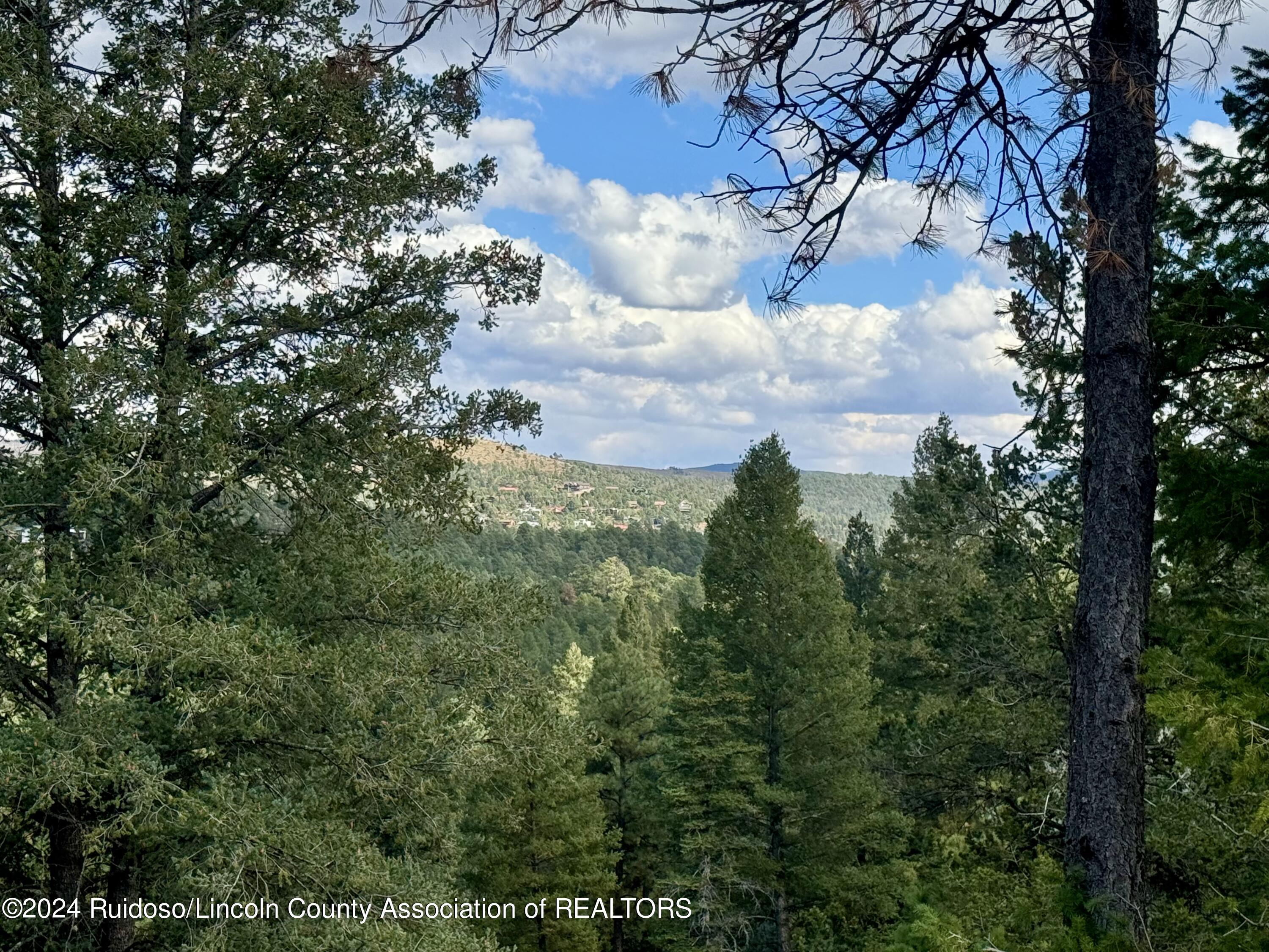 106 & 110 Nopal Lane, Ruidoso, New Mexico image 2