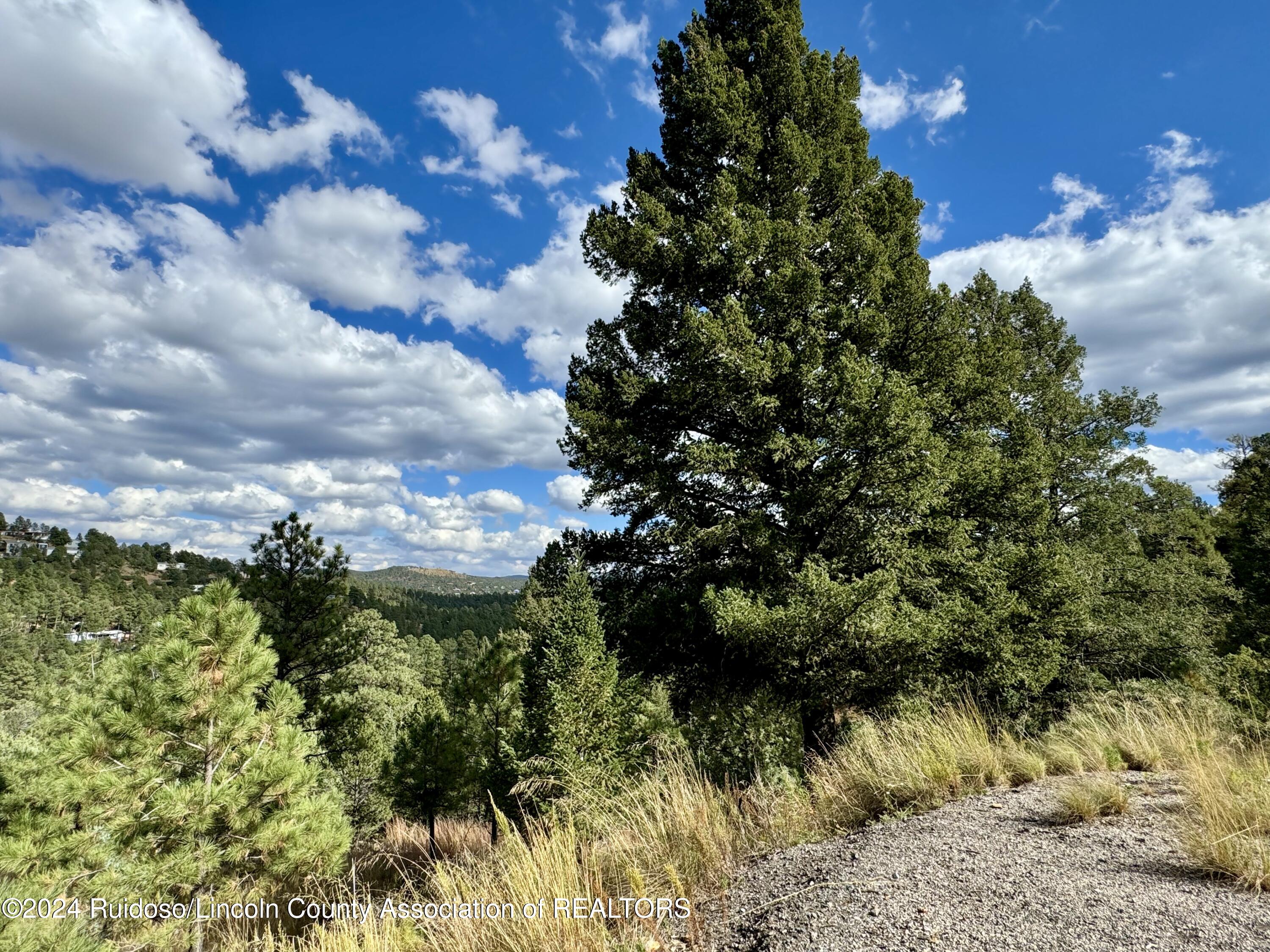 106 & 110 Nopal Lane, Ruidoso, New Mexico image 11