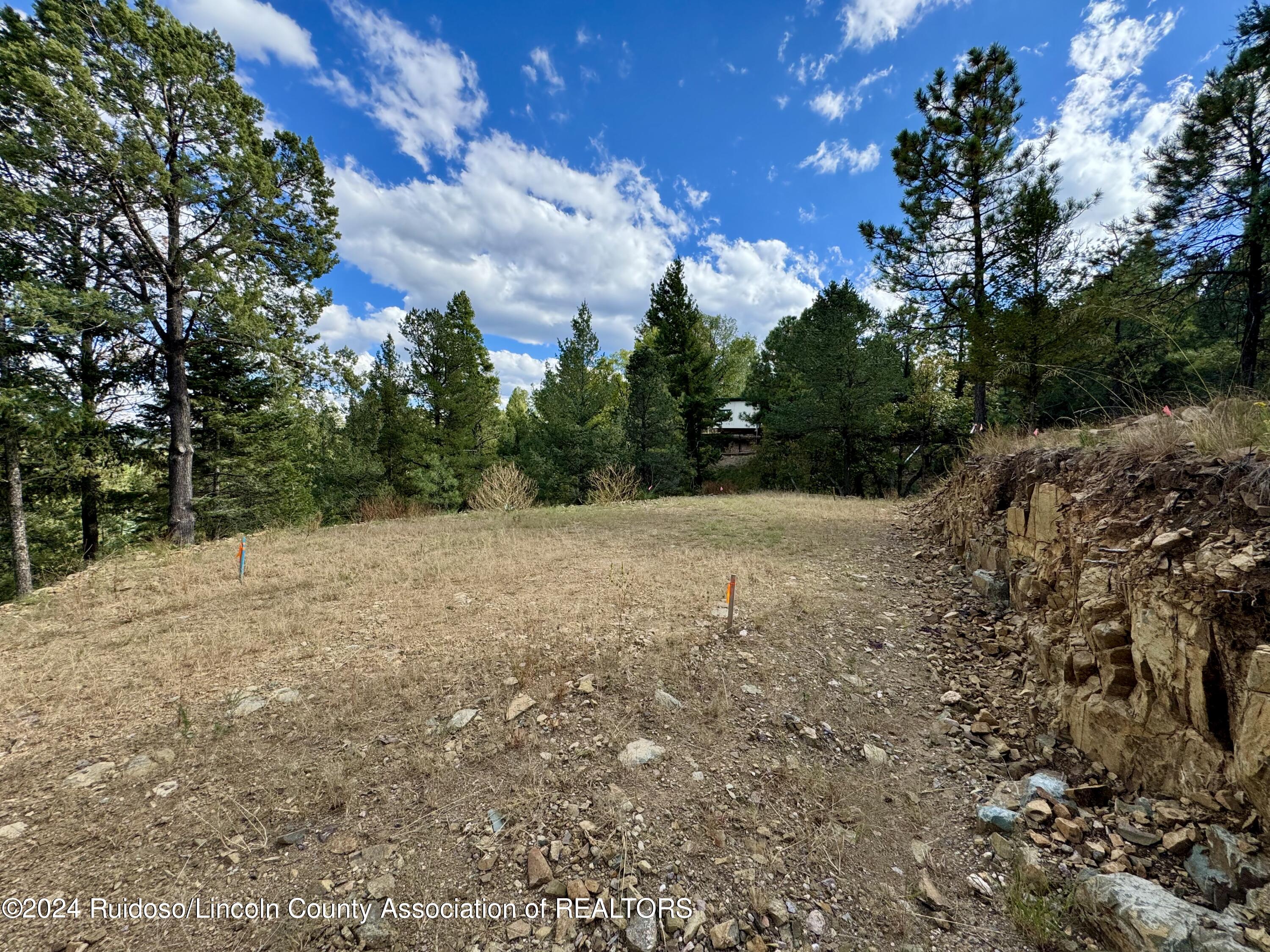 106 & 110 Nopal Lane, Ruidoso, New Mexico image 7