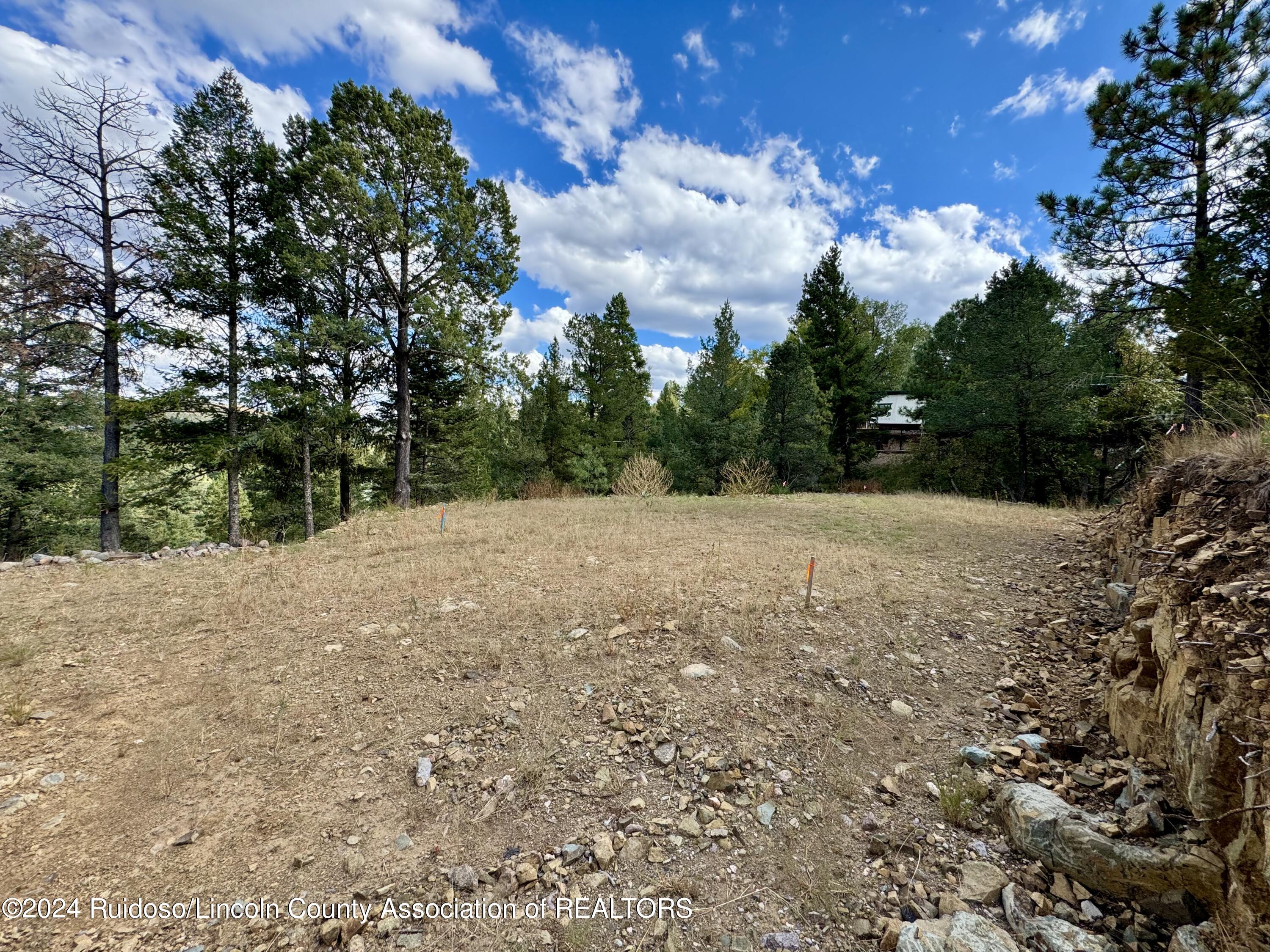 106 & 110 Nopal Lane, Ruidoso, New Mexico image 1