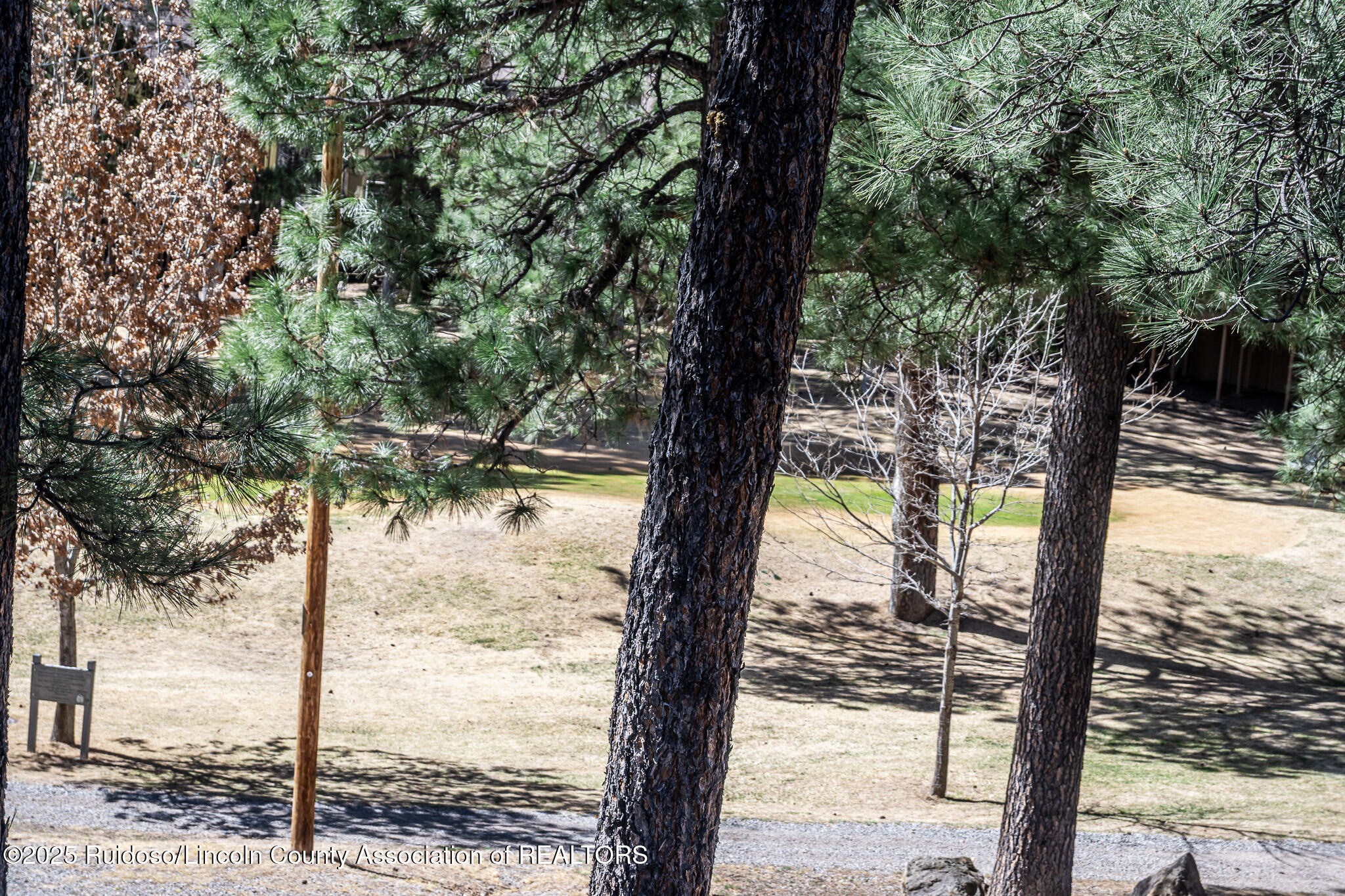 110 Innsbrook Drive #30C, Ruidoso, New Mexico image 7
