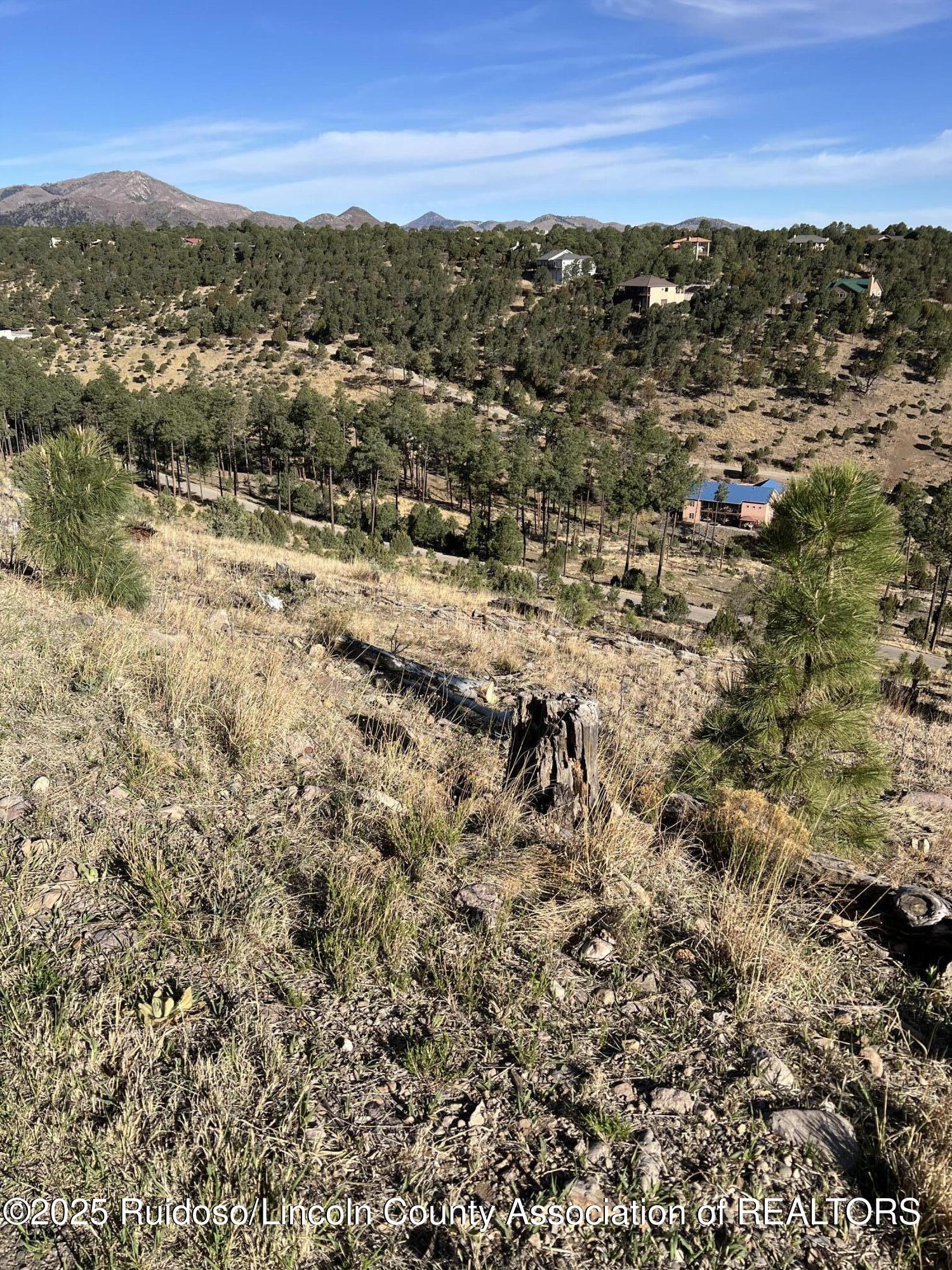 Lot 58 El Camino, Alto, New Mexico image 1