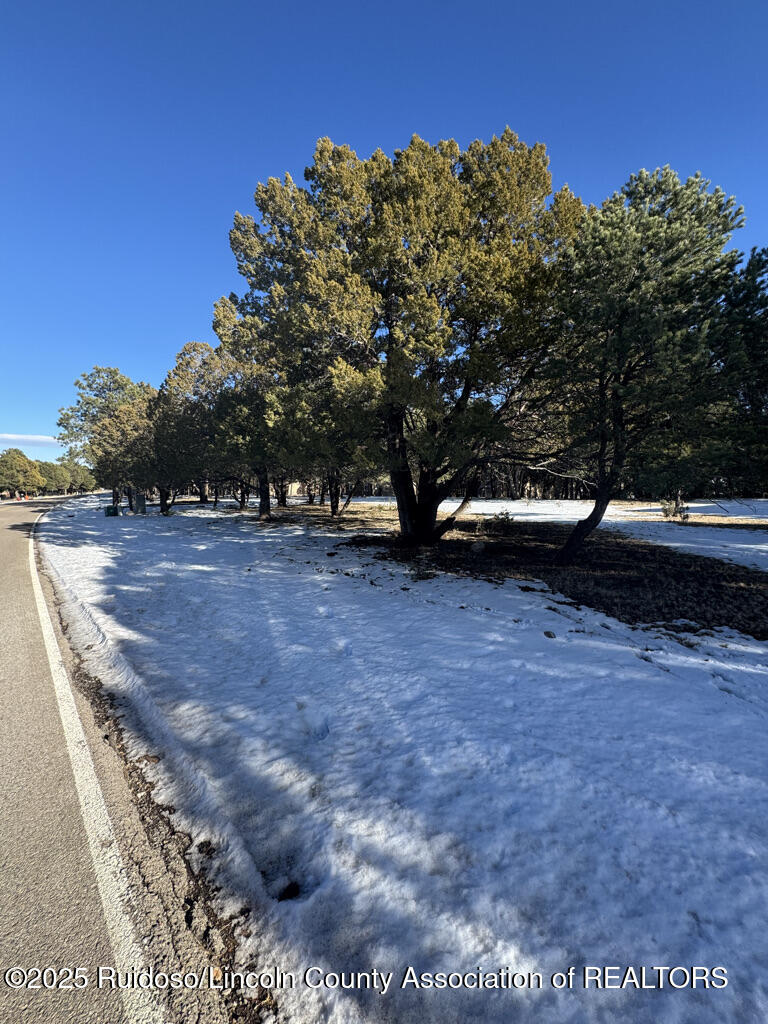 Lot 90 Deer Park Drive #3, Alto, New Mexico image 7