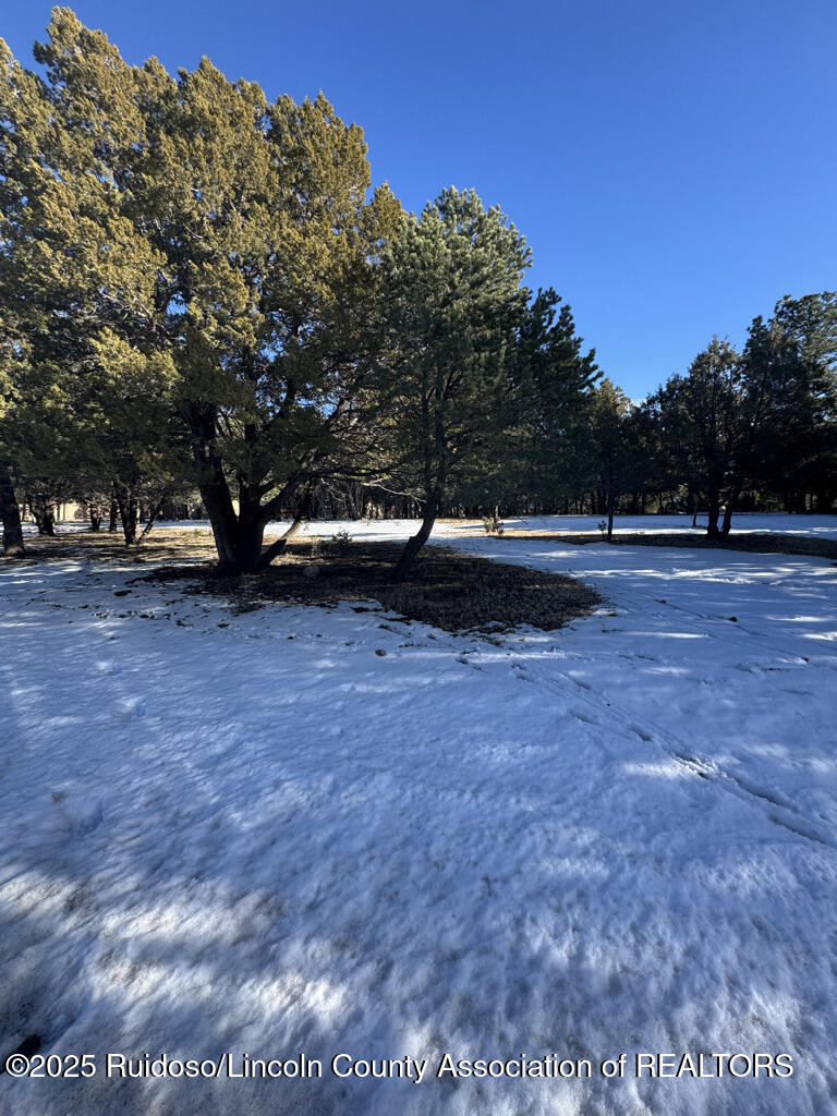 Lot 90 Deer Park Drive #3, Alto, New Mexico image 3