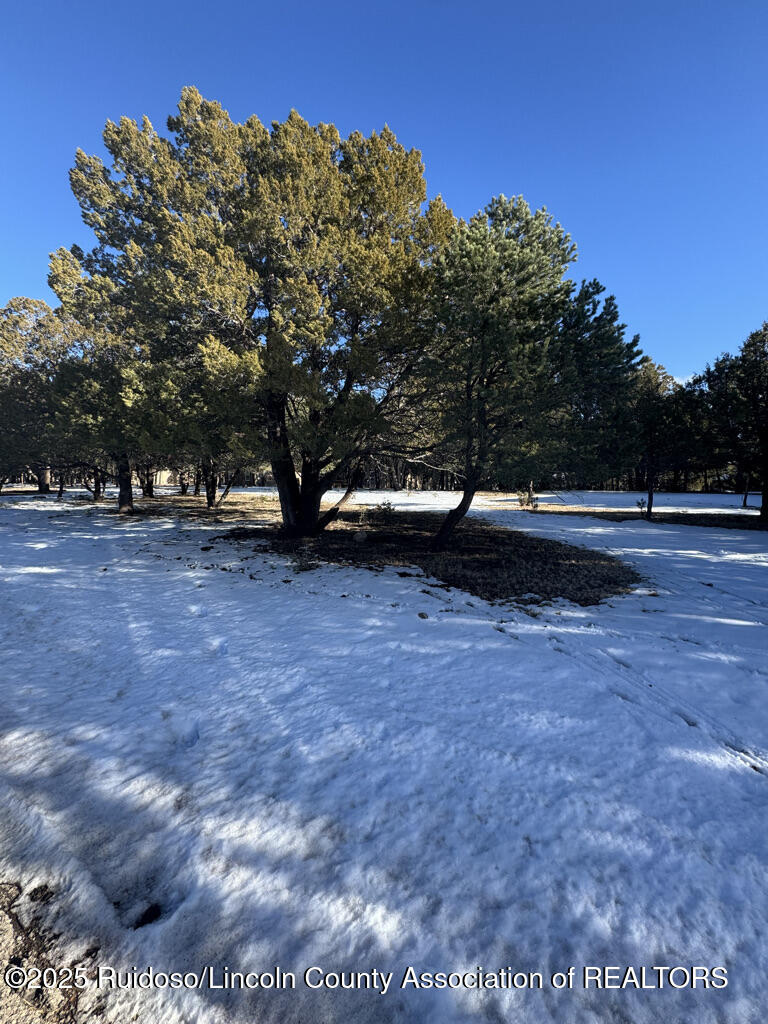 Lot 90 Deer Park Drive #3, Alto, New Mexico image 1