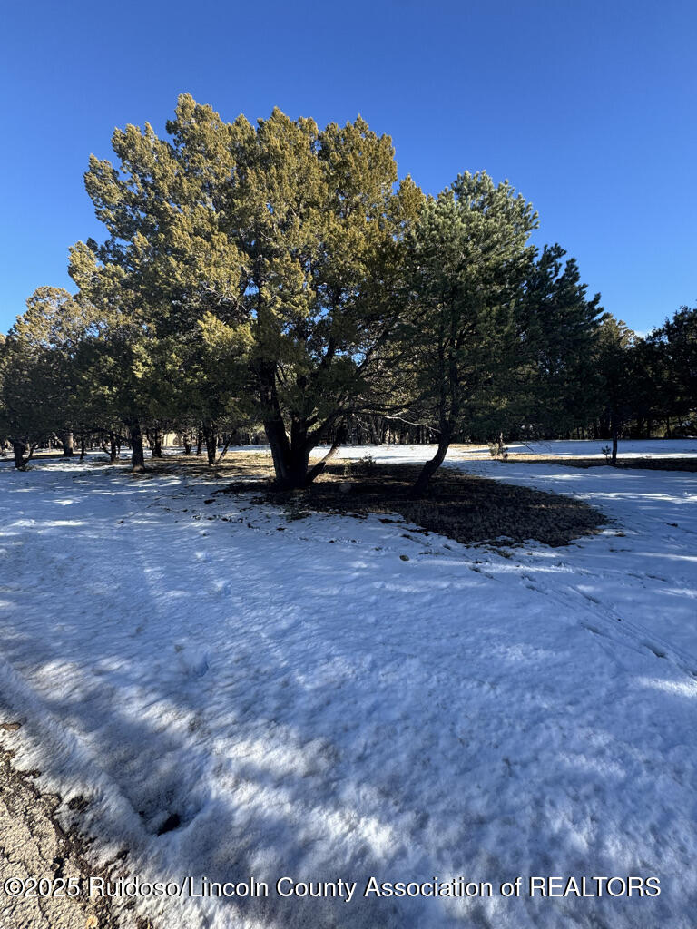 Lot 90 Deer Park Drive #3, Alto, New Mexico image 5