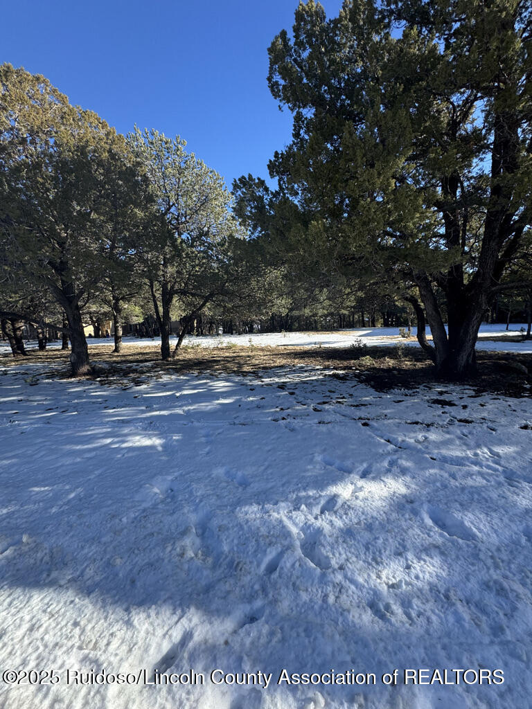 Lot 90 Deer Park Drive #3, Alto, New Mexico image 2