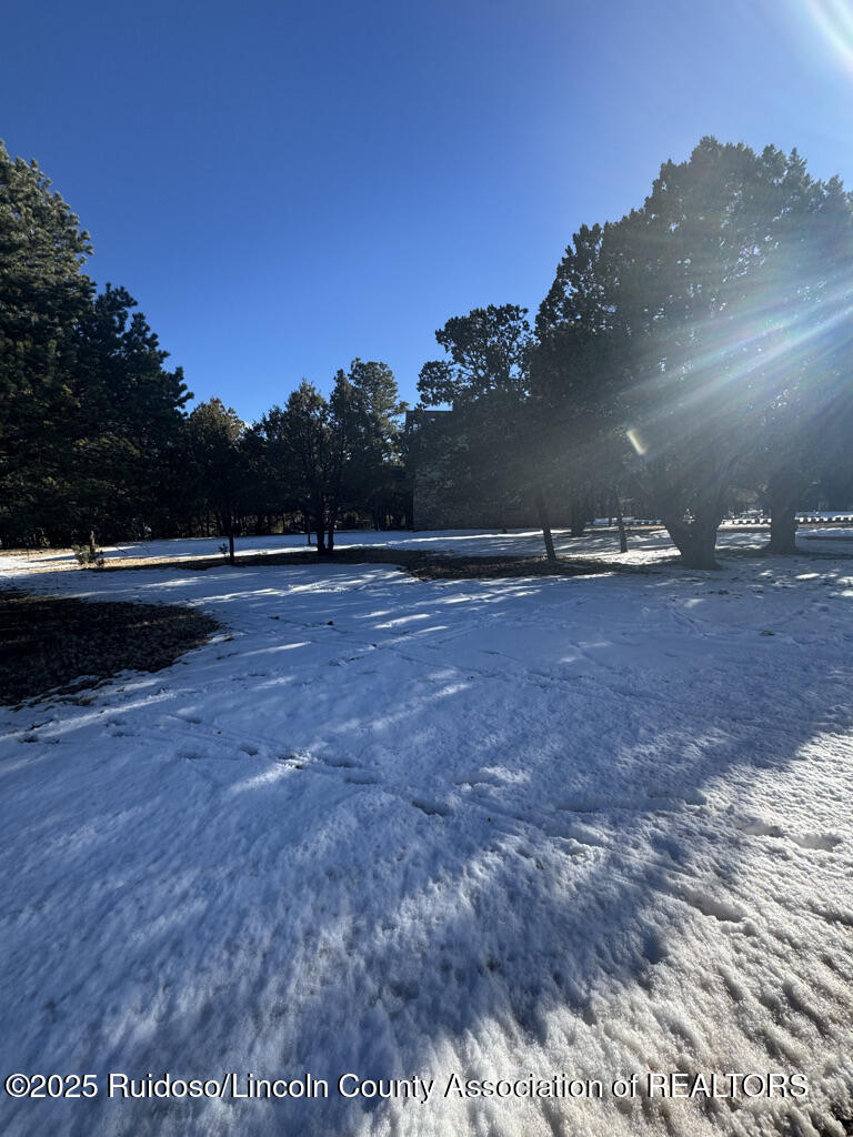 Lot 90 Deer Park Drive #3, Alto, New Mexico image 4