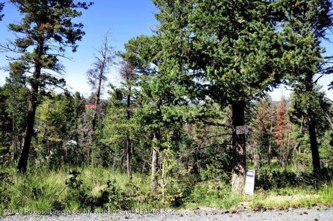 Vacant Land For Sale - 216 Cummings Drive<br/> Ruidoso, NM 88345