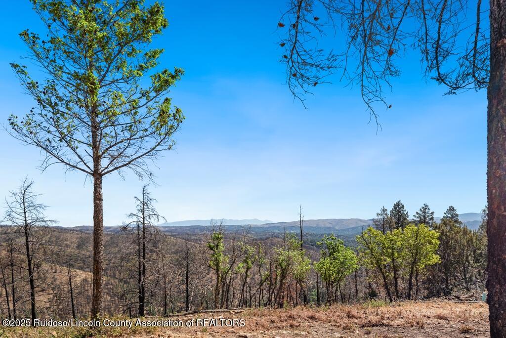 100 Canon Road, Ruidoso, New Mexico image 23