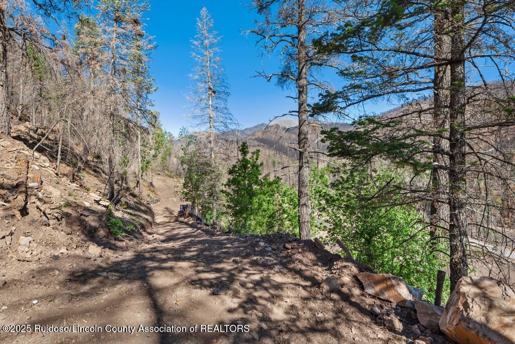 100 Canon Road, Ruidoso, New Mexico image 5