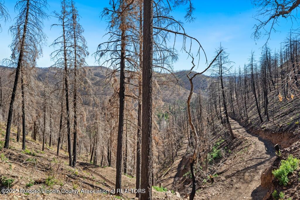 100 Canon Road, Ruidoso, New Mexico image 44