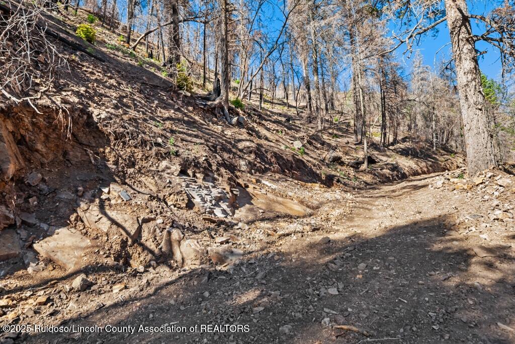 100 Canon Road, Ruidoso, New Mexico image 4