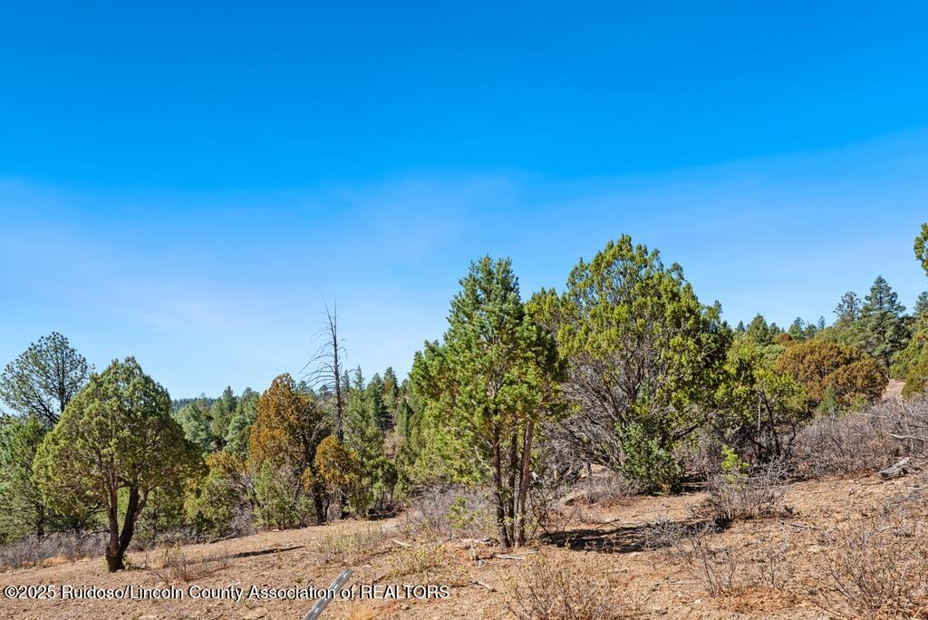 100 Canon Road, Ruidoso, New Mexico image 1