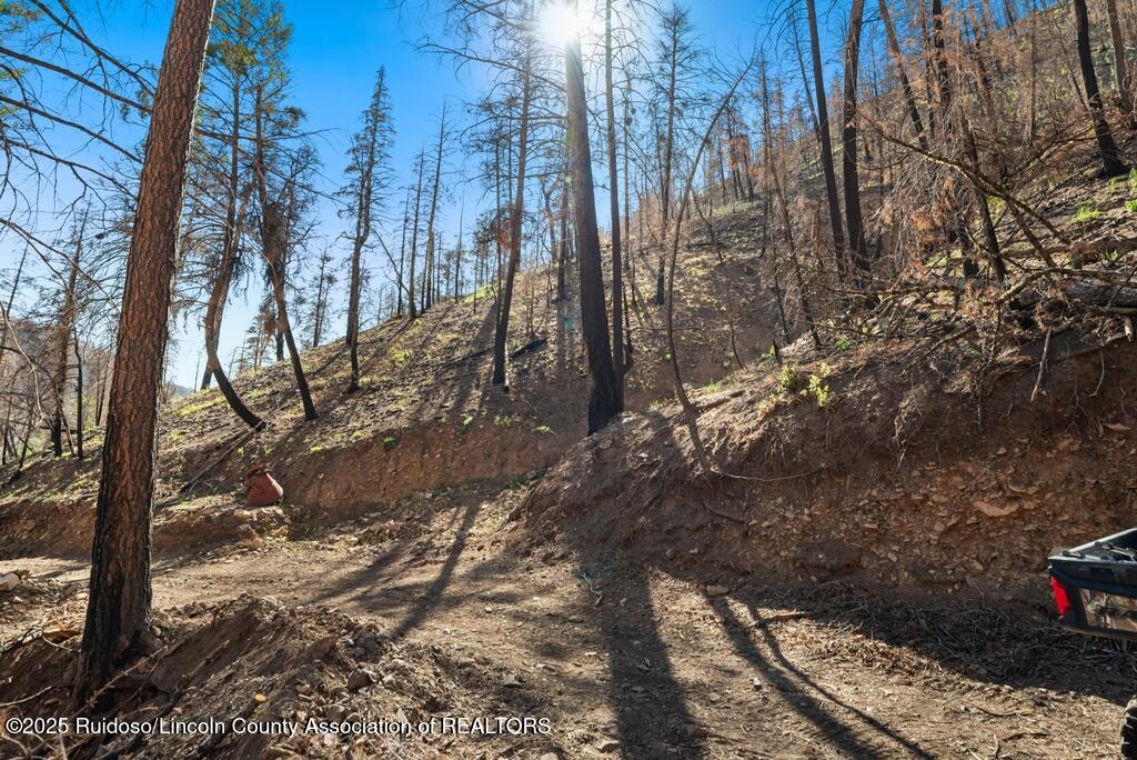 100 Canon Road, Ruidoso, New Mexico image 33