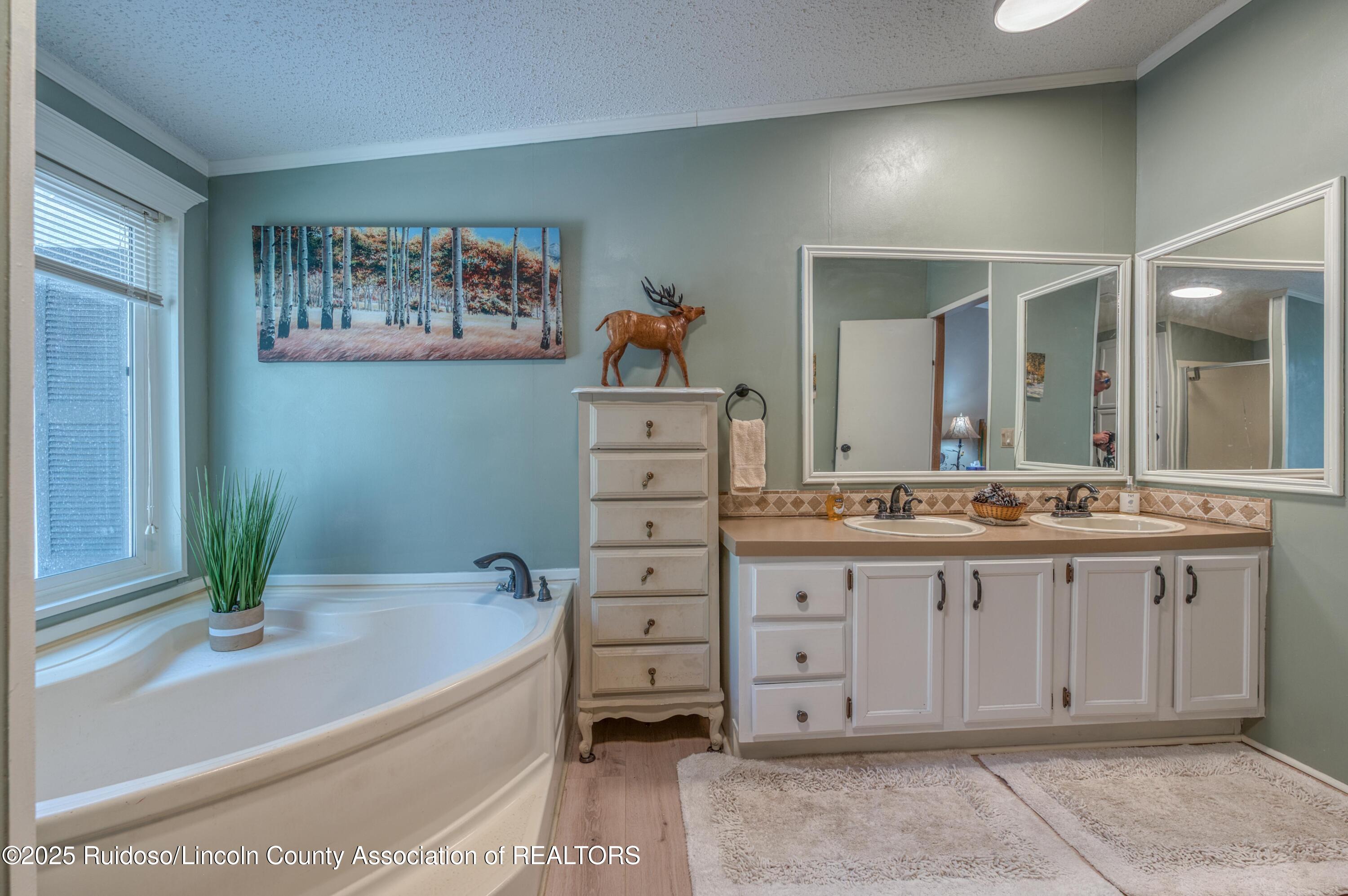 259 Ski Run Road, Alto, New Mexico image 24