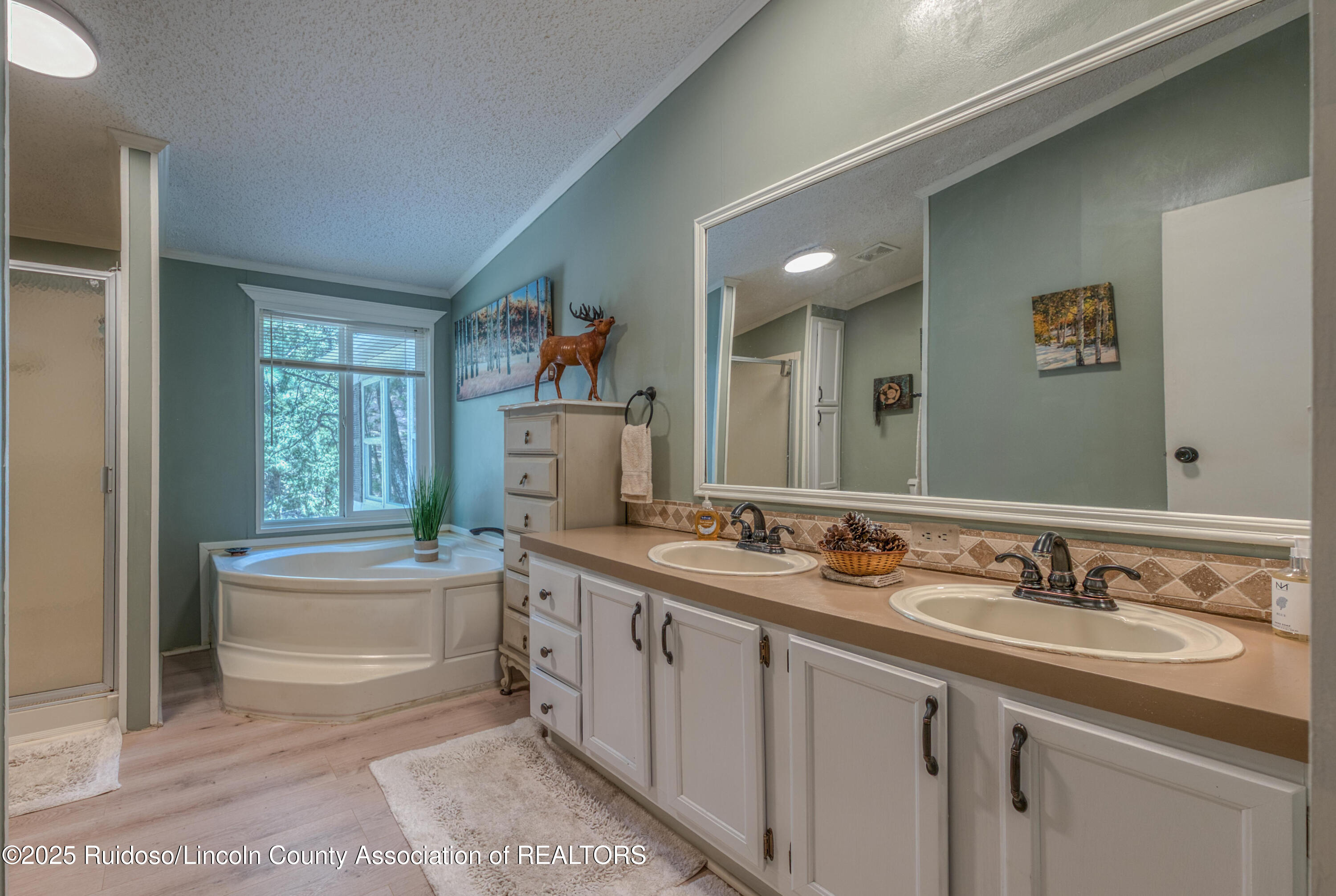 259 Ski Run Road, Alto, New Mexico image 23