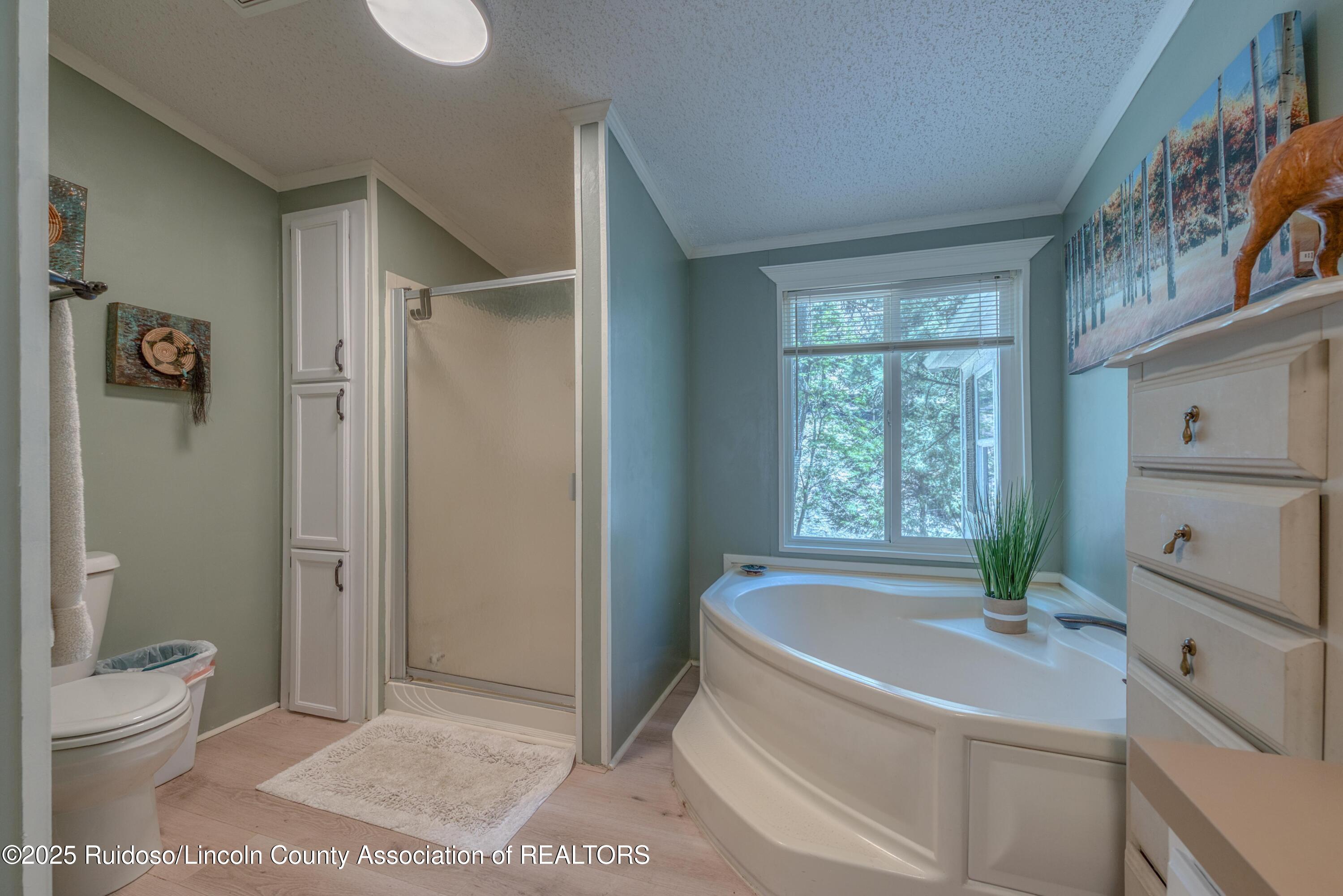 259 Ski Run Road, Alto, New Mexico image 25