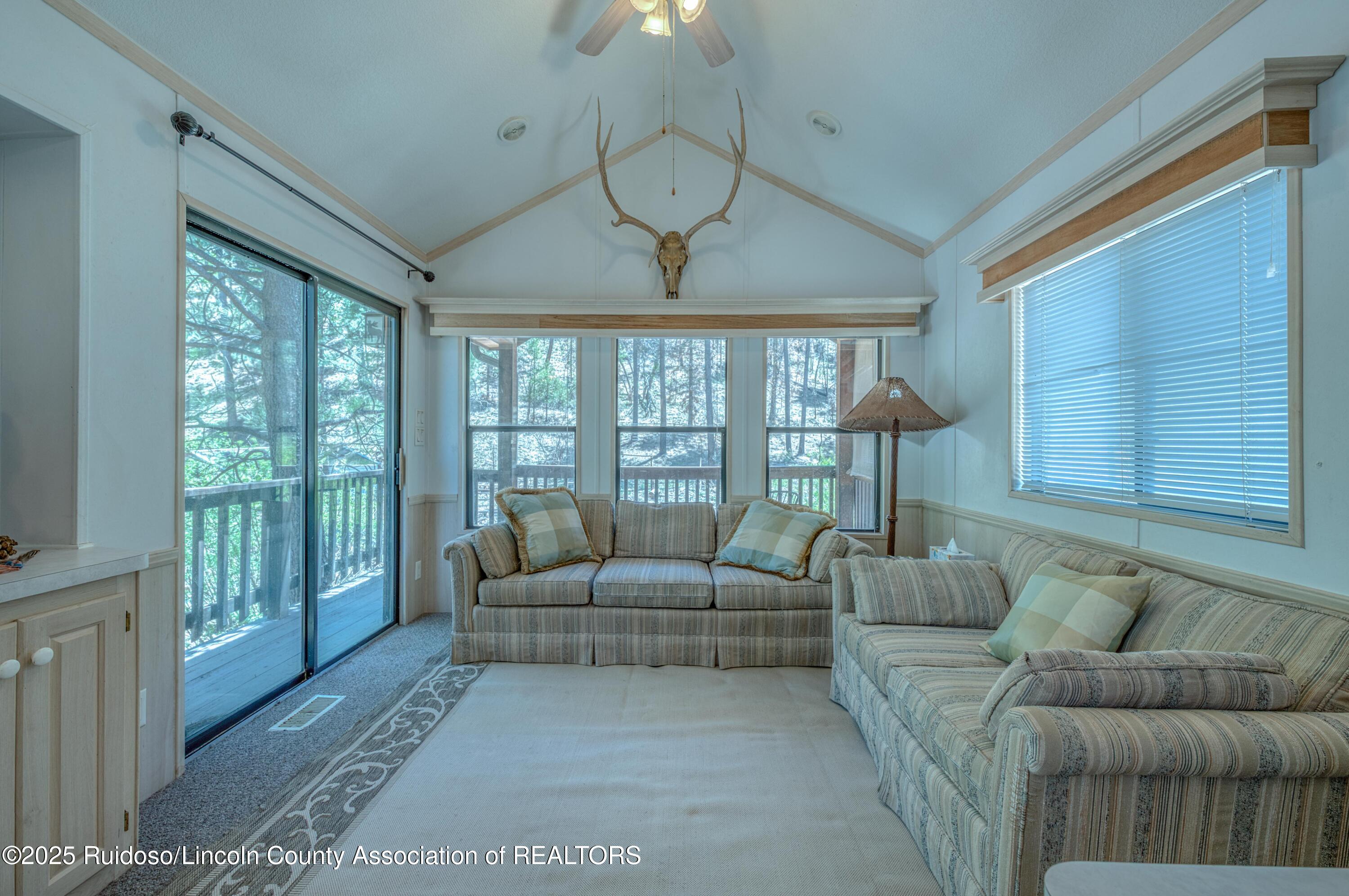 259 Ski Run Road, Alto, New Mexico image 44