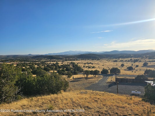 262 DAWSON RD, CAPITAN, NM 88316 - Image 2df678aafd871c315ee9b9f4e87d4f05/1617365791