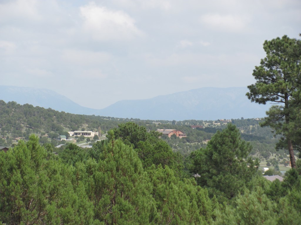 134 Deer Valley Drive, Alto, New Mexico image 8