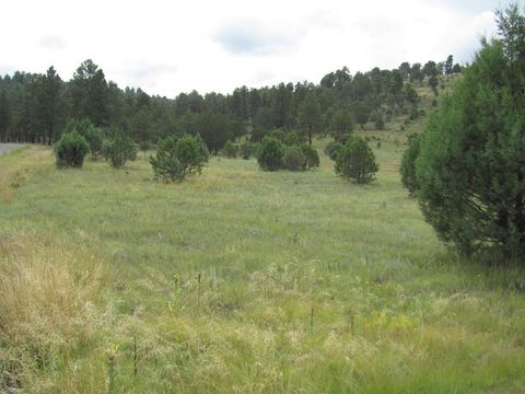 Vacant Land For Sale - 134 Deer Valley Drive<br/> Alto, NM 88312