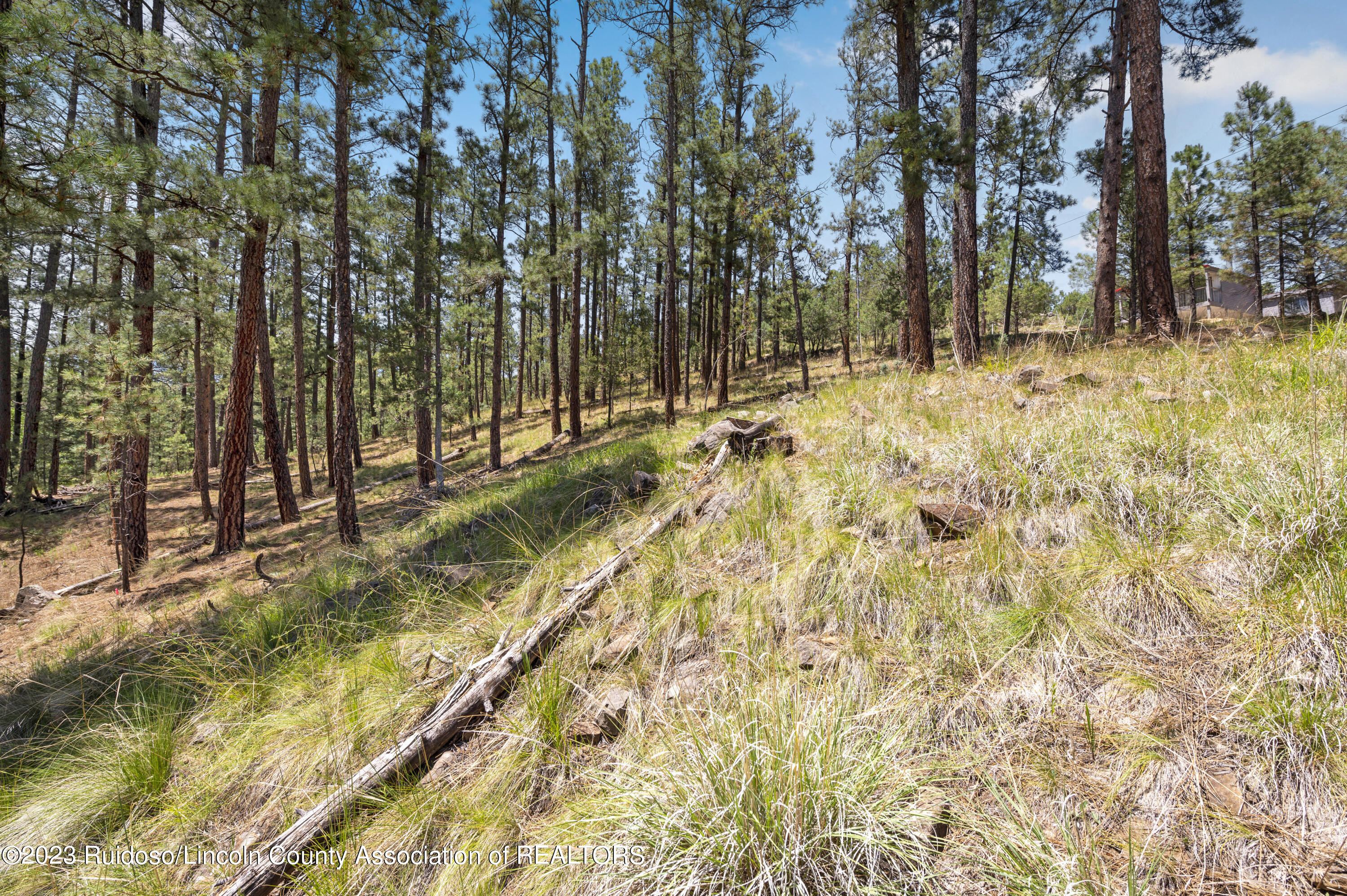 142 S Candlewood Drive, Ruidoso, New Mexico image 1