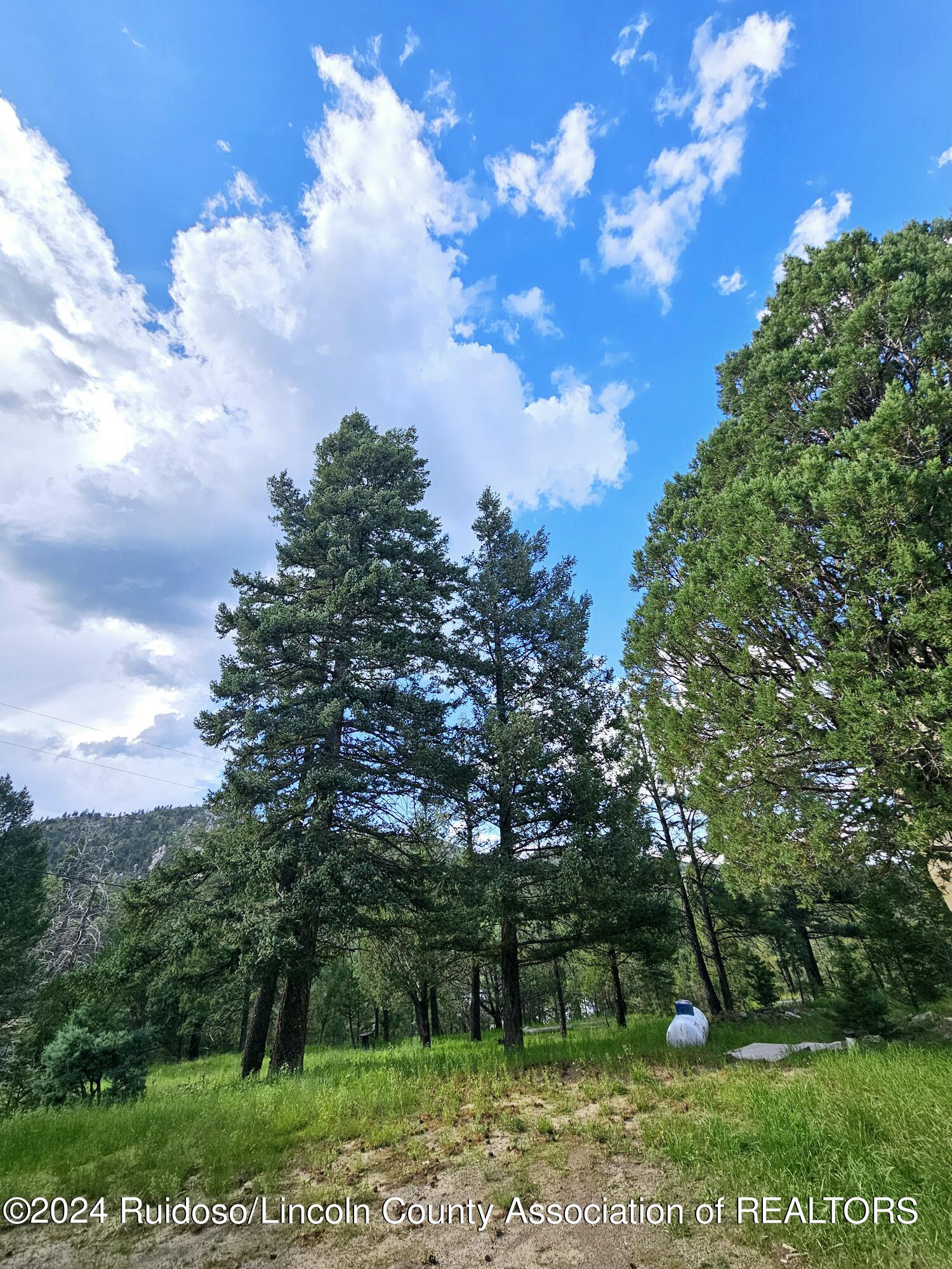 136 Alta Vista Circle, Alto, New Mexico image 25