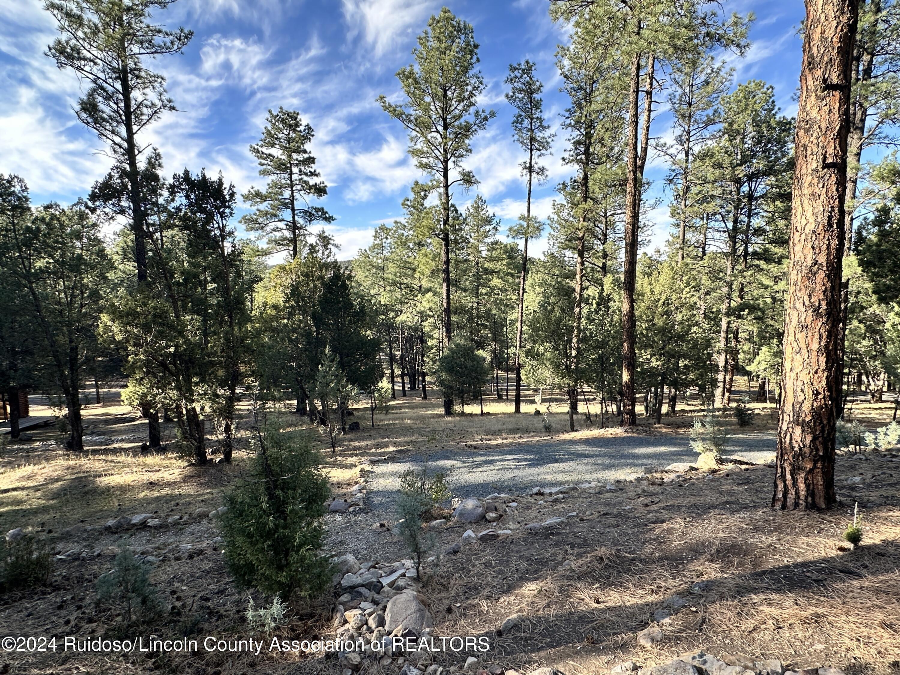 158-B Alto Pines Trail, Alto, New Mexico image 12