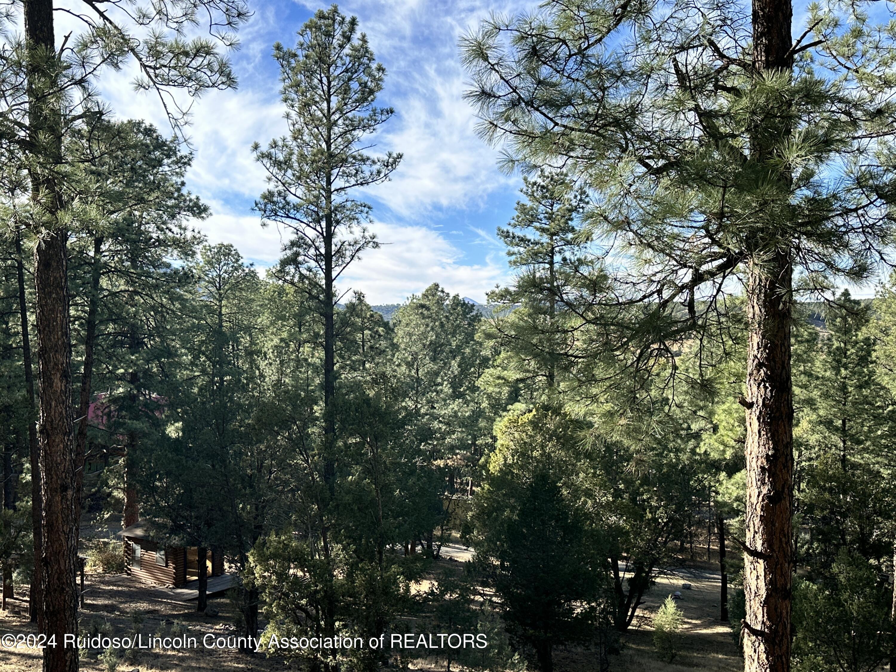 158-B Alto Pines Trail, Alto, New Mexico image 9