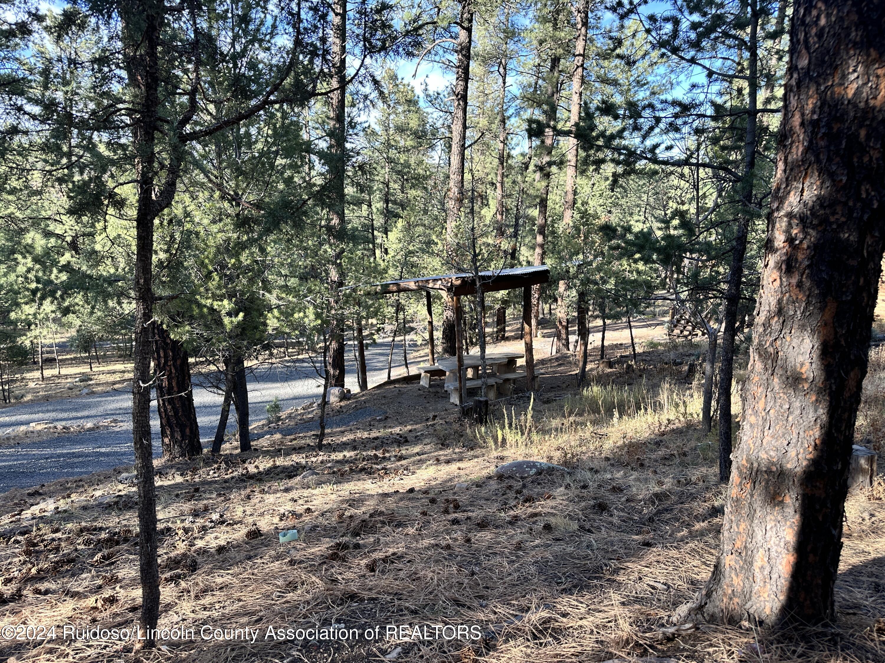 158-B Alto Pines Trail, Alto, New Mexico image 33