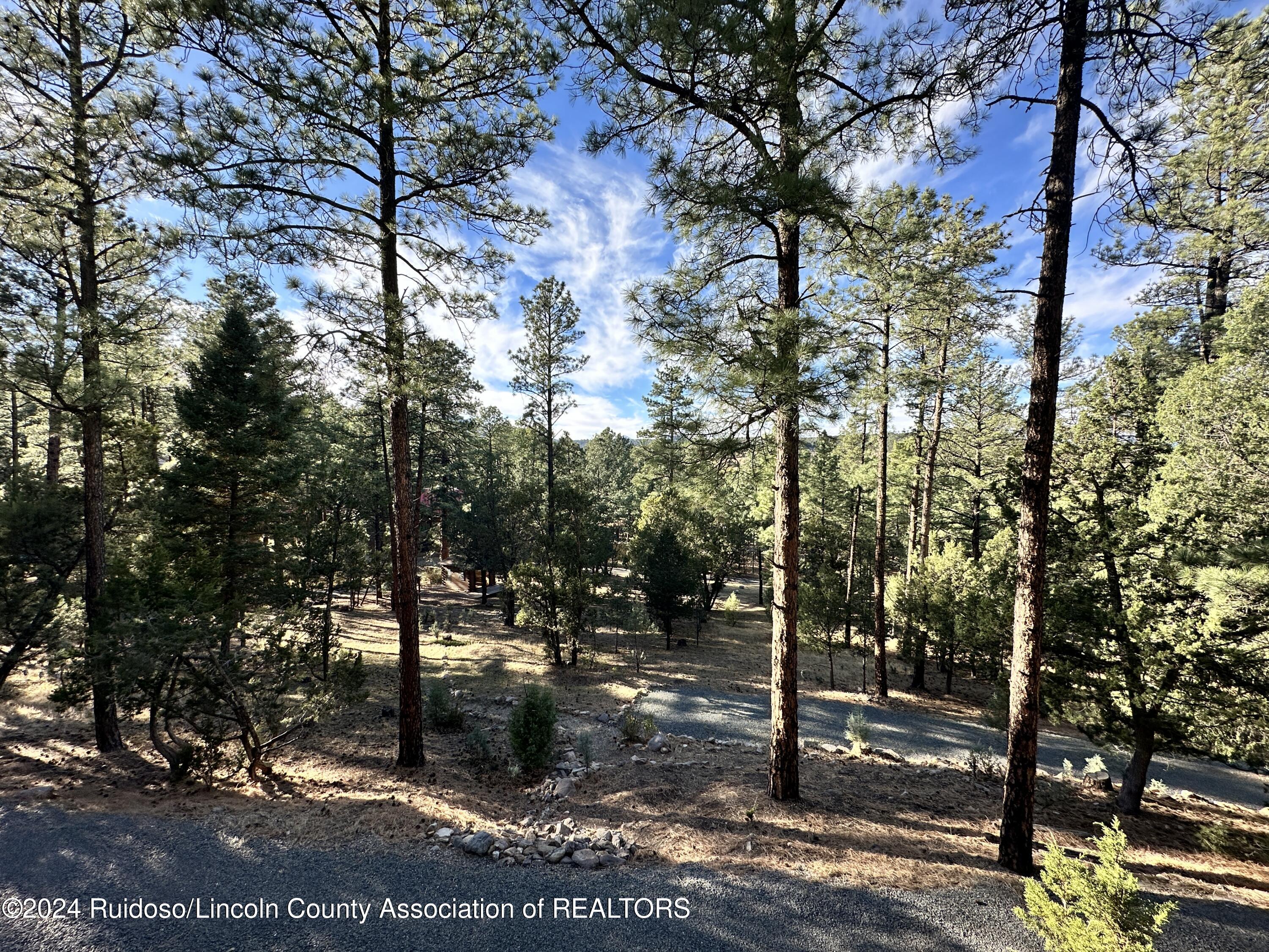 158-B Alto Pines Trail, Alto, New Mexico image 8