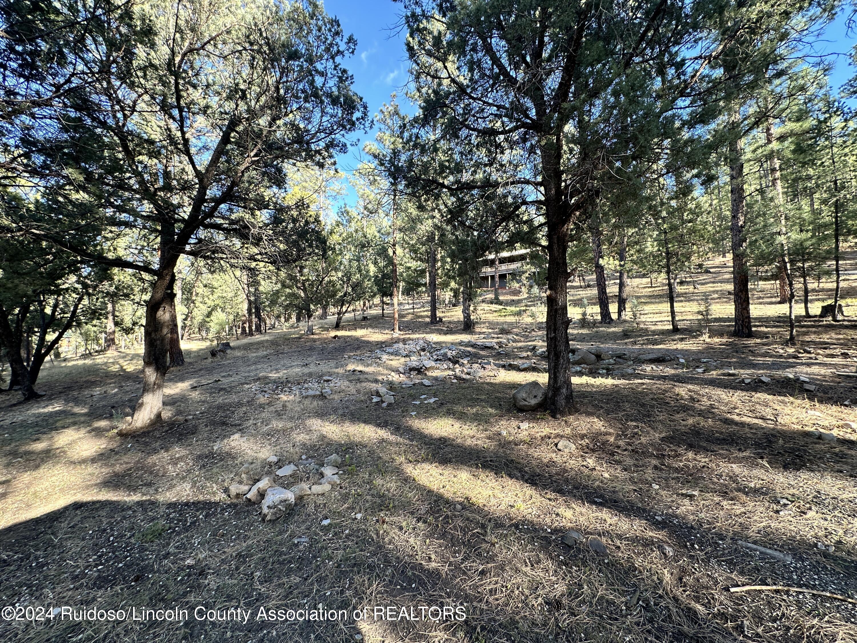 158-B Alto Pines Trail, Alto, New Mexico image 13