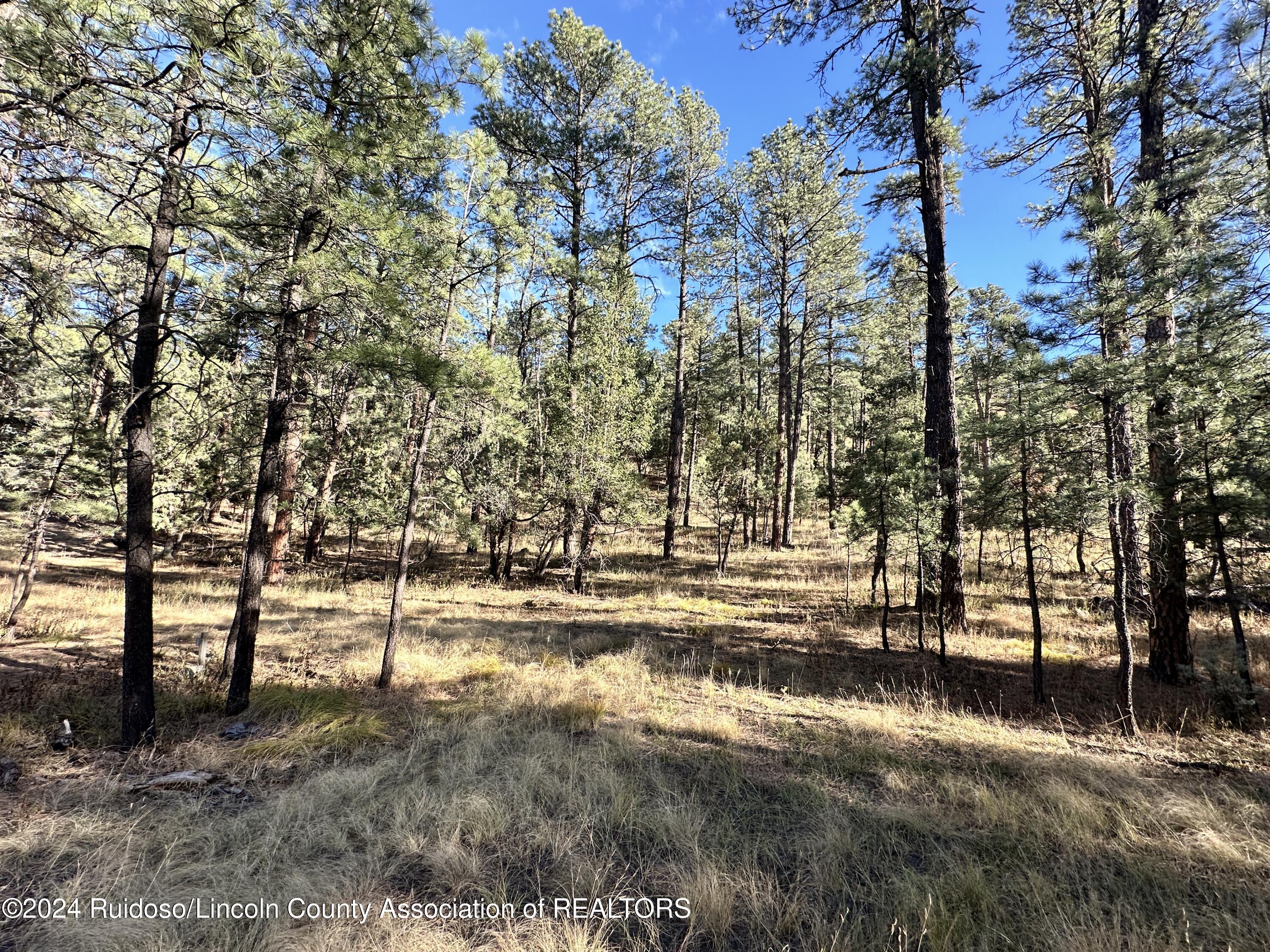 158-B Alto Pines Trail, Alto, New Mexico image 38