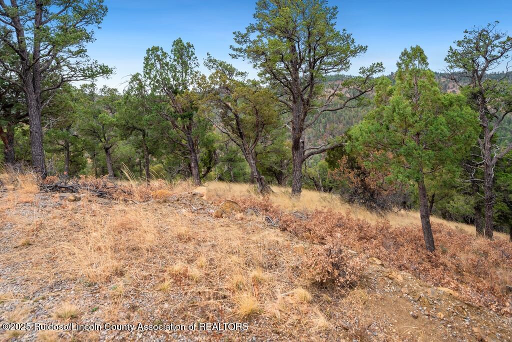 109 Middle Fork Frk, Ruidoso, New Mexico image 4