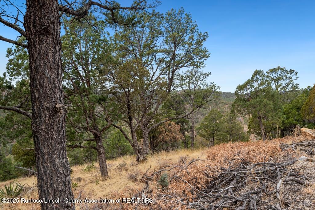 109 Middle Fork Frk, Ruidoso, New Mexico image 1