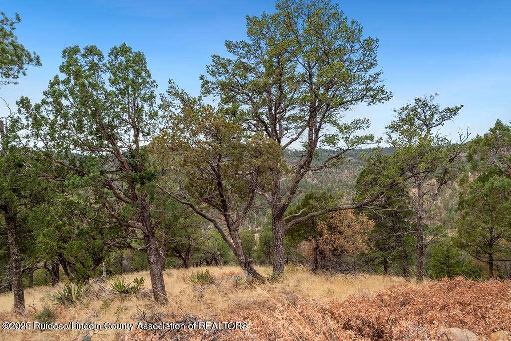 109 Middle Fork Frk, Ruidoso, New Mexico image 2