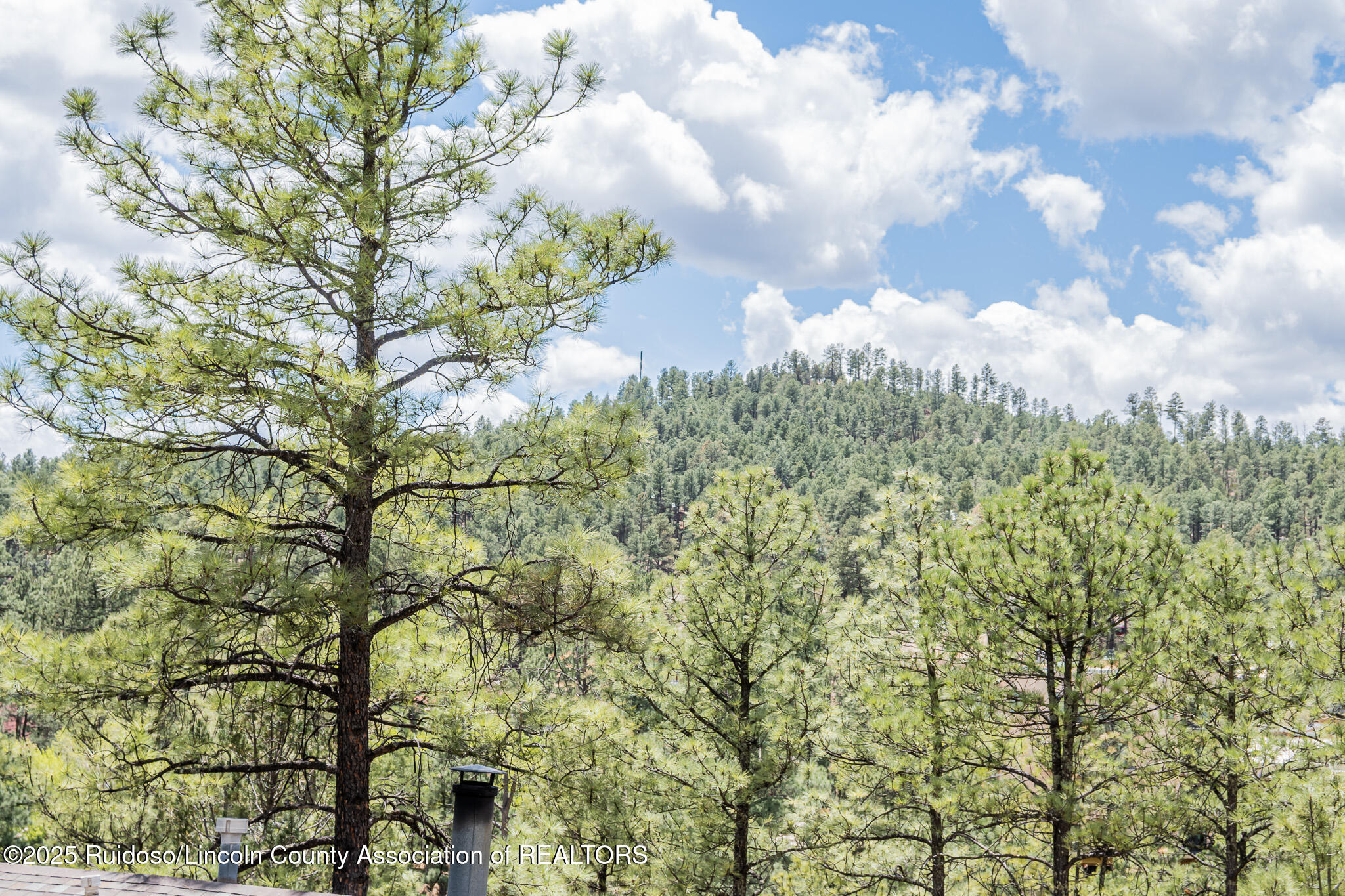 305 Walton Circle, Ruidoso, New Mexico image 39