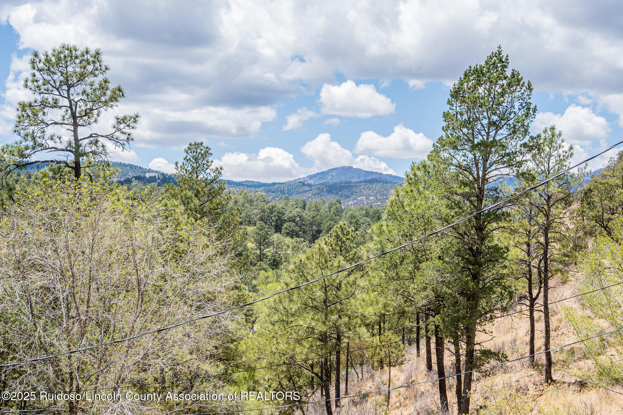 305 Walton Circle, Ruidoso, New Mexico image 36
