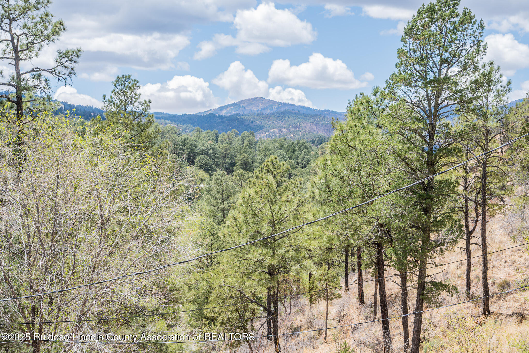 305 Walton Circle, Ruidoso, New Mexico image 38