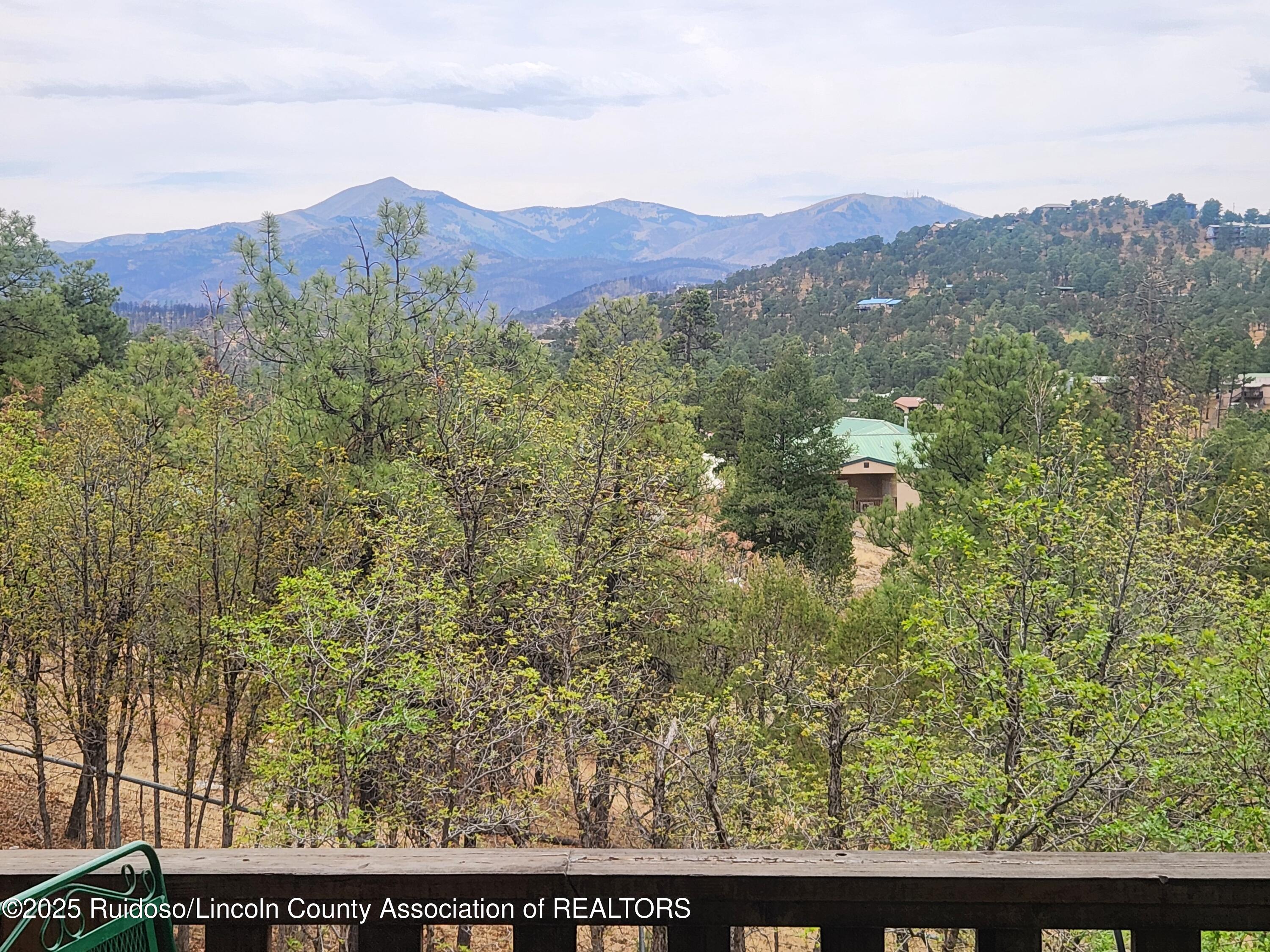 112 Pat Willingham Court, Ruidoso, New Mexico image 4