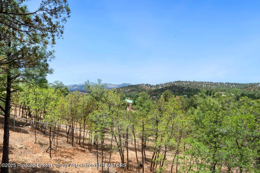 112 Pat Willingham Court, Ruidoso, New Mexico image 39
