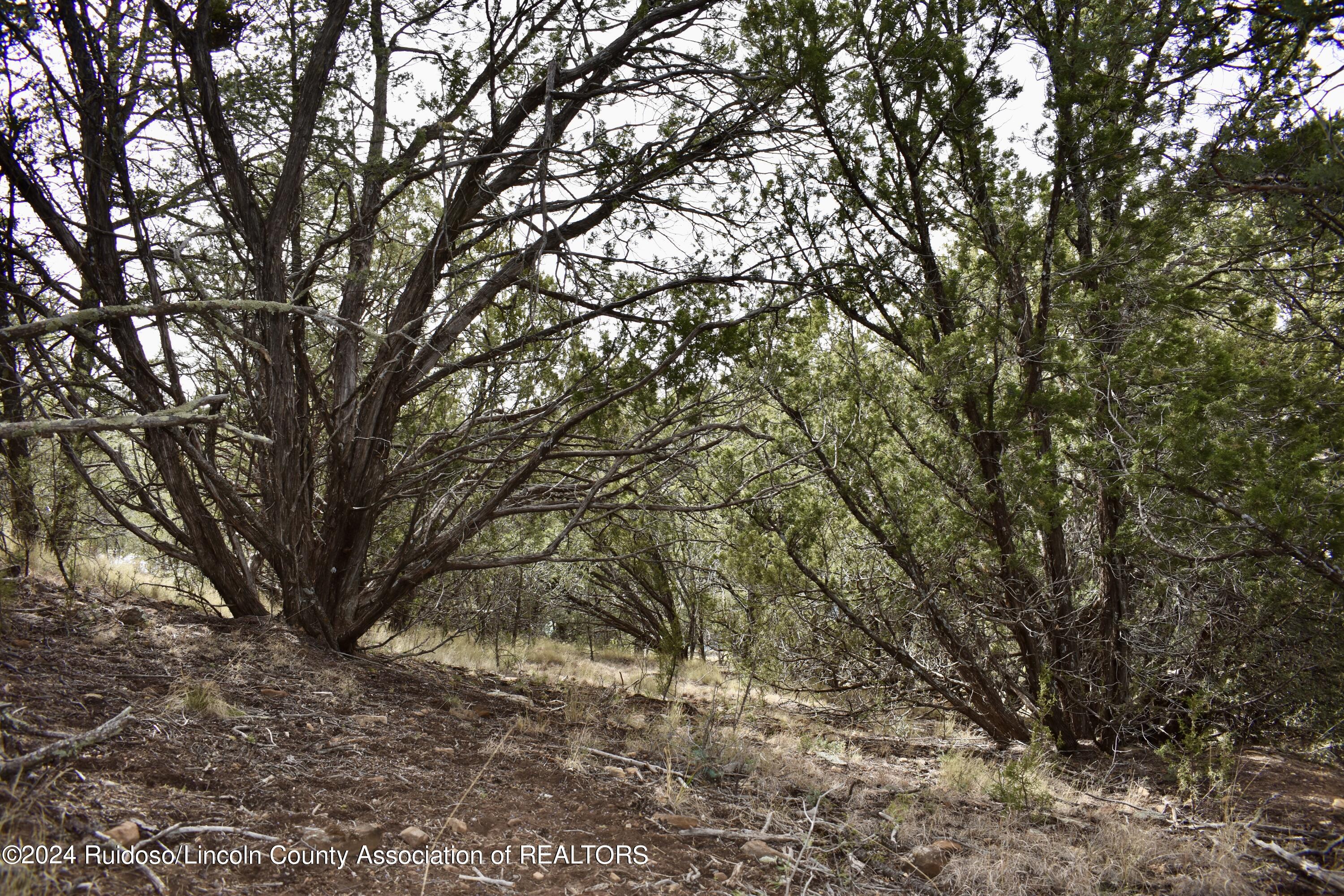 Lot 7 Butch Cassidy Ct., Alto, New Mexico image 4