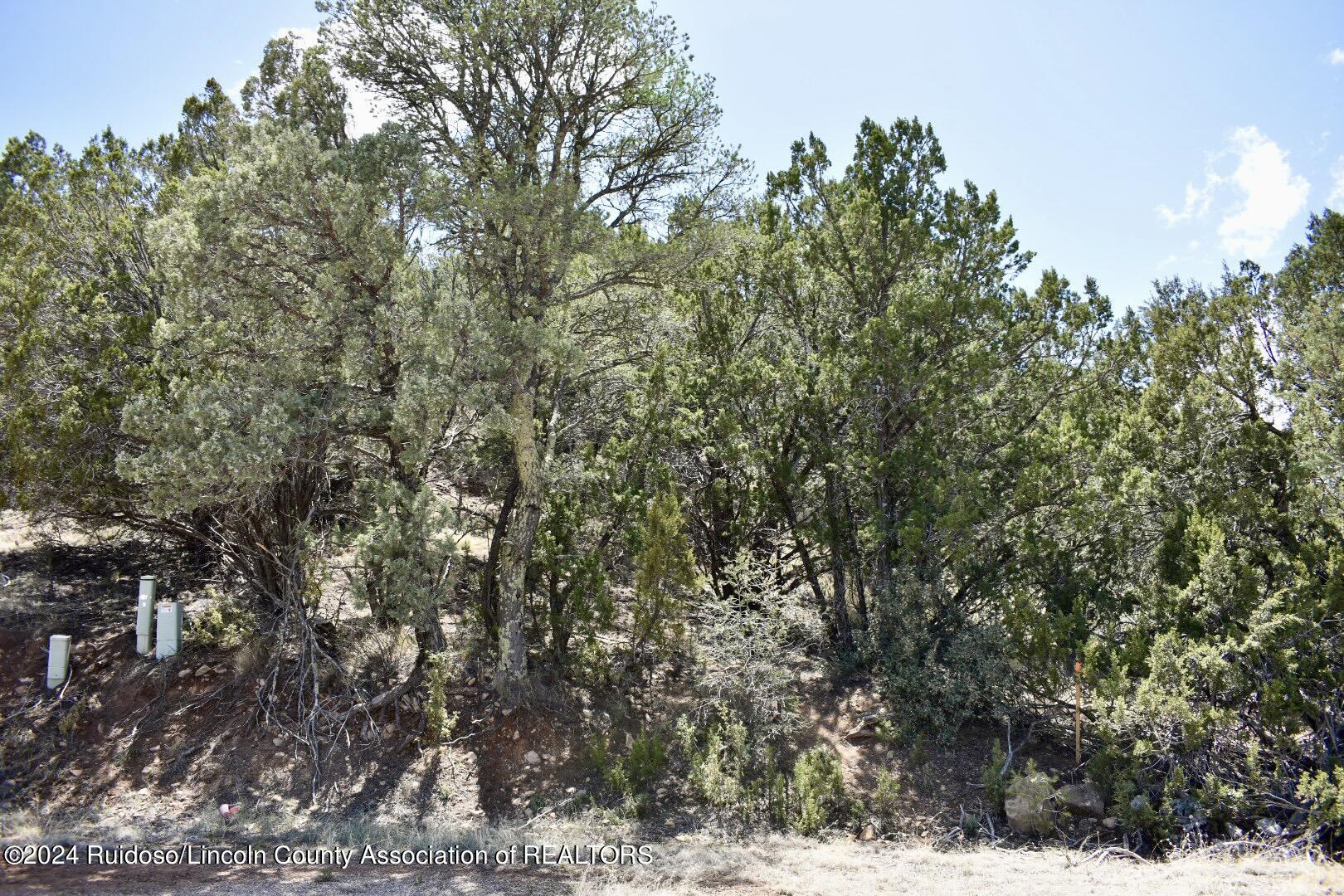 Lot 7 Butch Cassidy Ct., Alto, New Mexico image 2