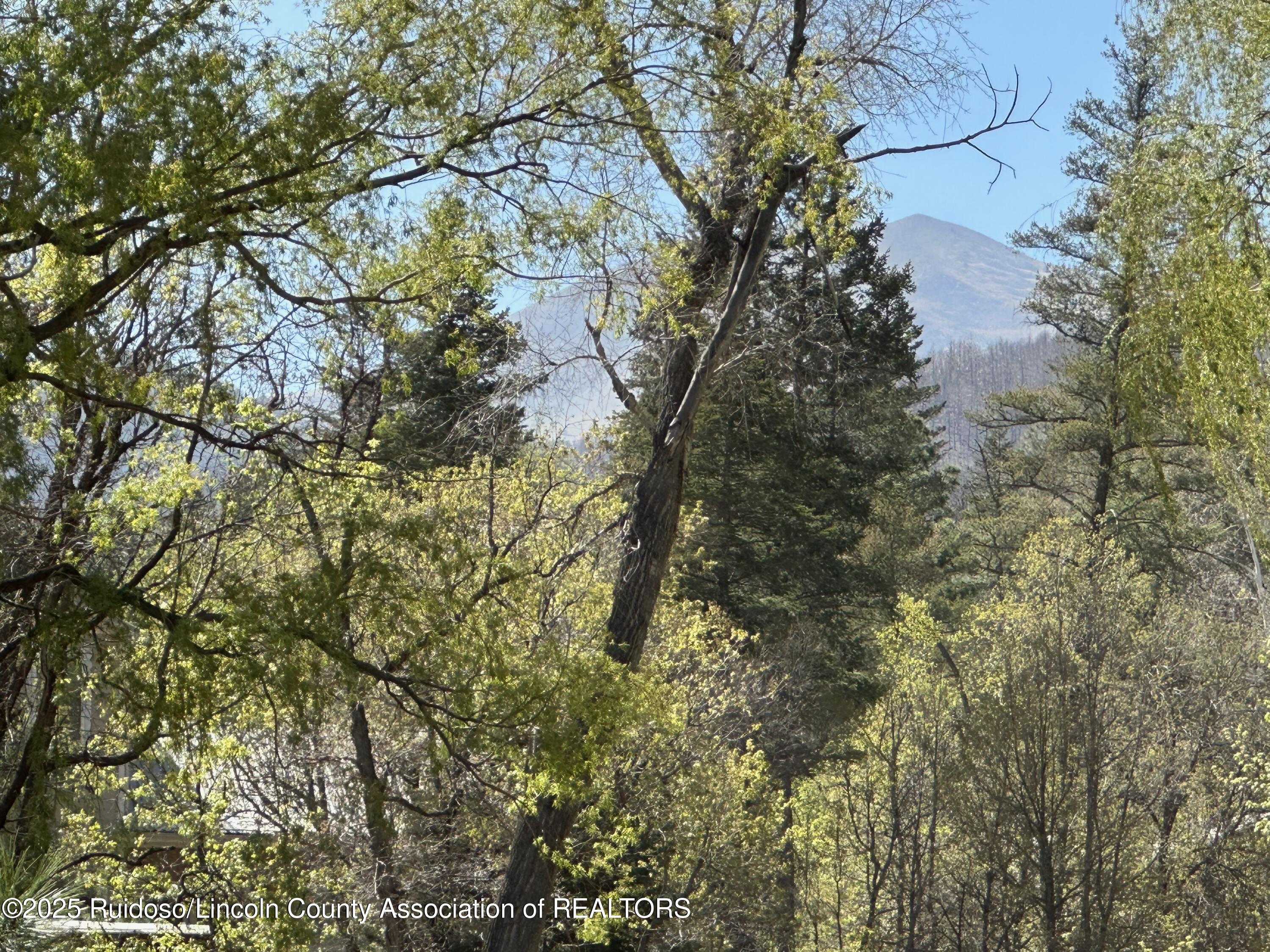 101 North Loop Road, Ruidoso, New Mexico image 33