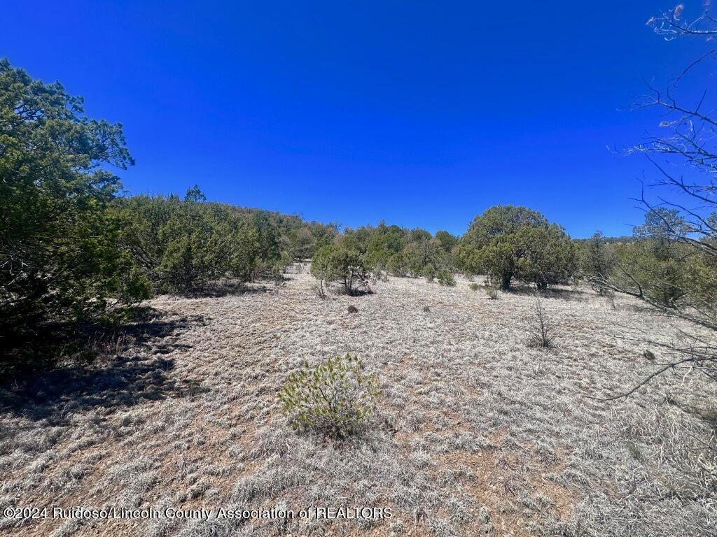 269 Santiago Circle, Alto, New Mexico image 11