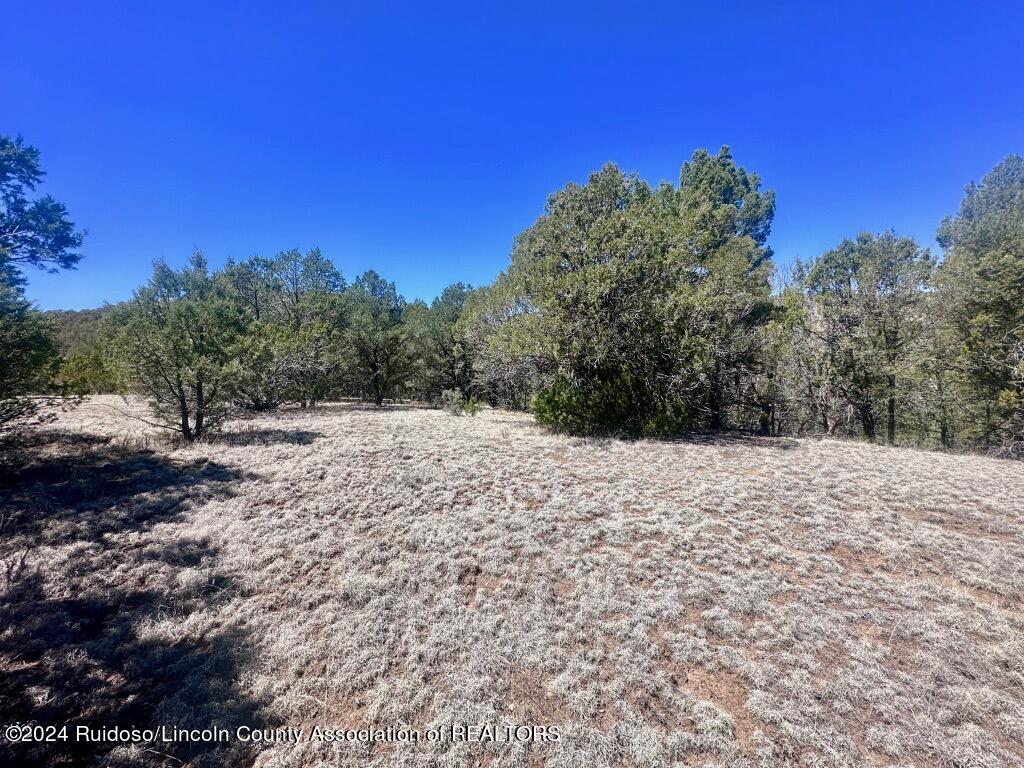 269 Santiago Circle, Alto, New Mexico image 6