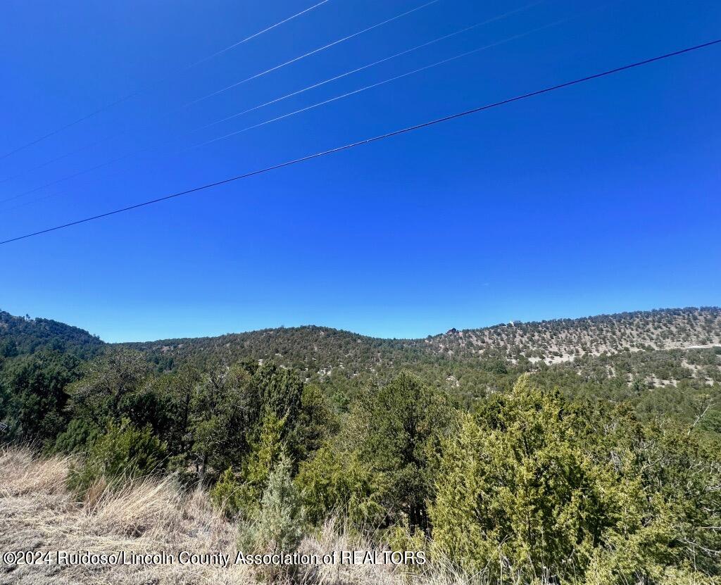 269 Santiago Circle, Alto, New Mexico image 2